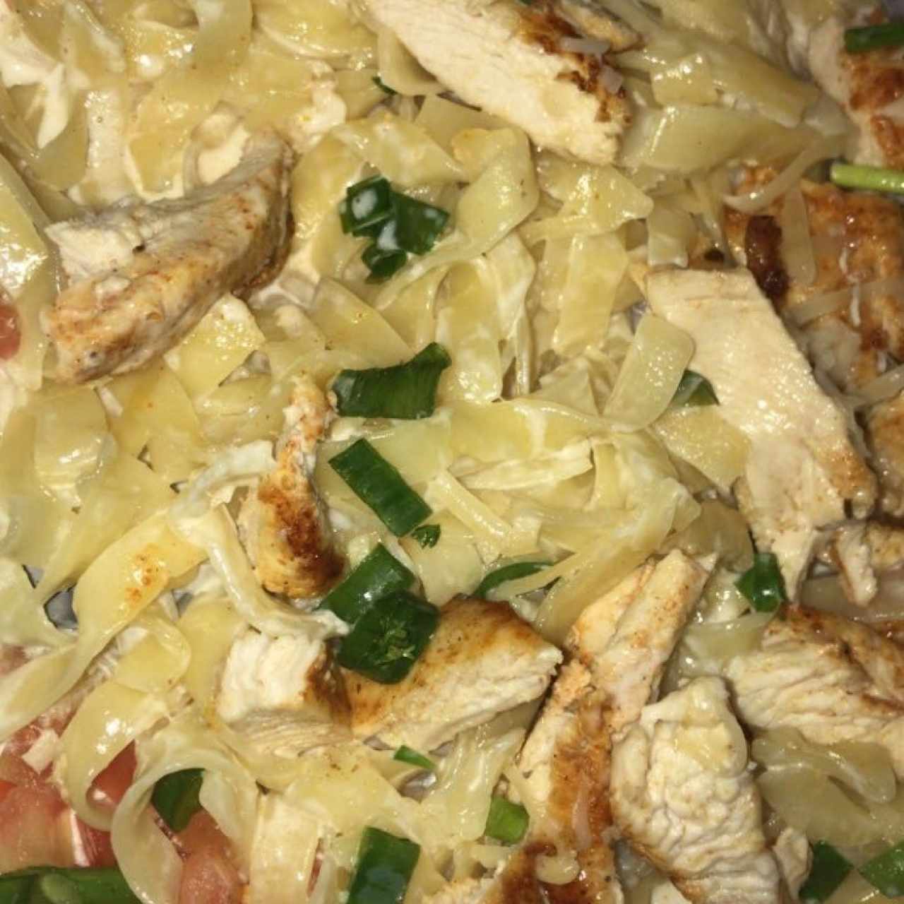 Pasta Chicken Alfredo