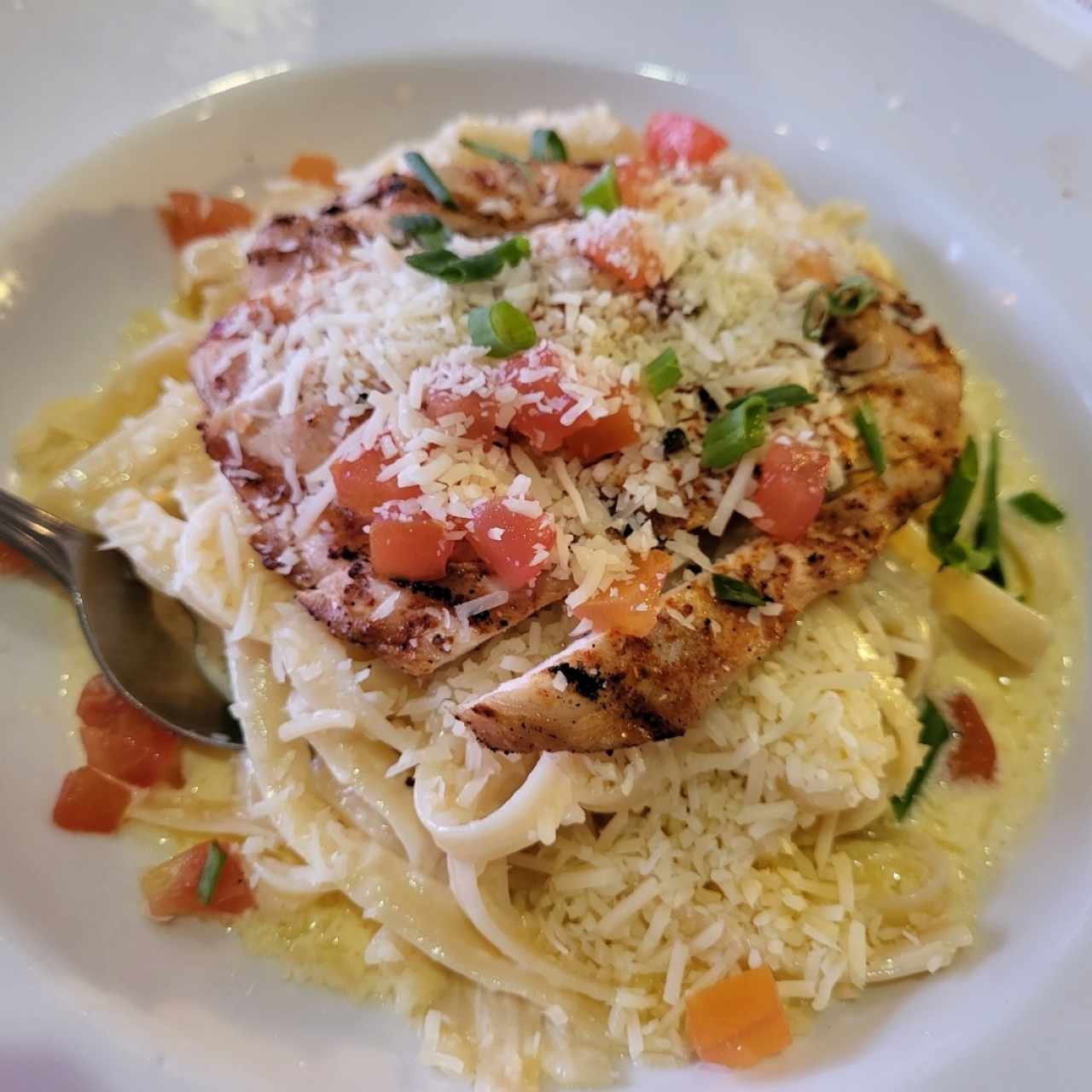 pasta Alfredo con pollo