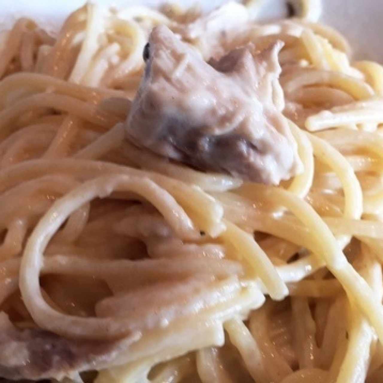 spaguetti alfredo pollo