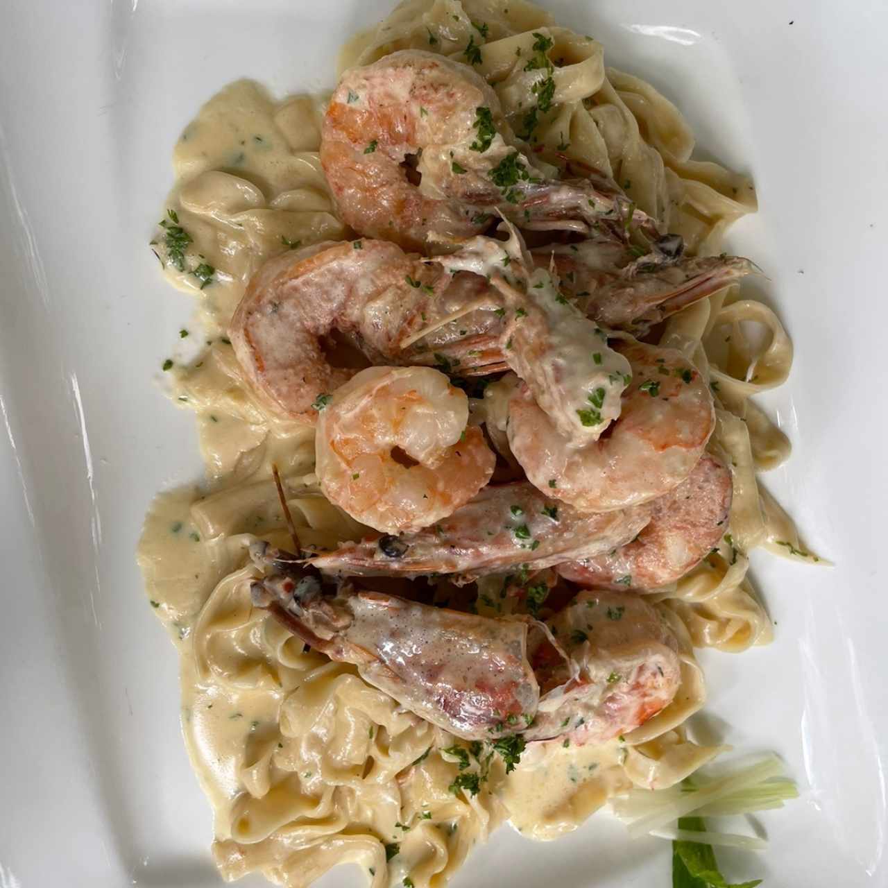 Langostinos en salsa blanca y Fettucine