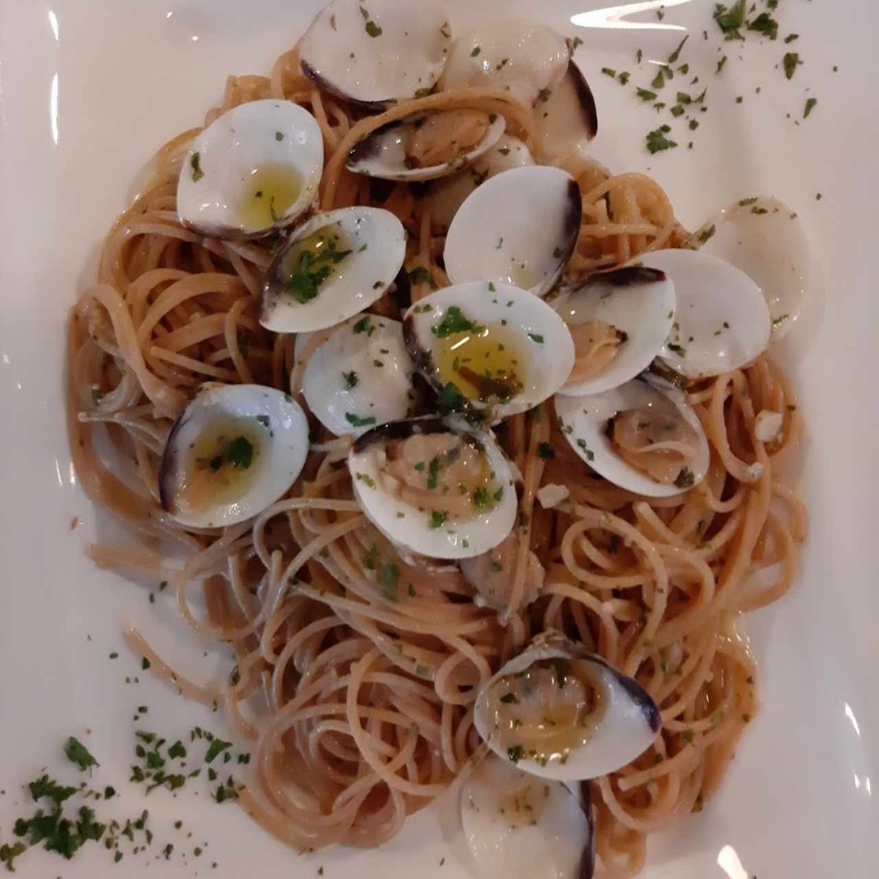 pasta integral al óleo con almejas 