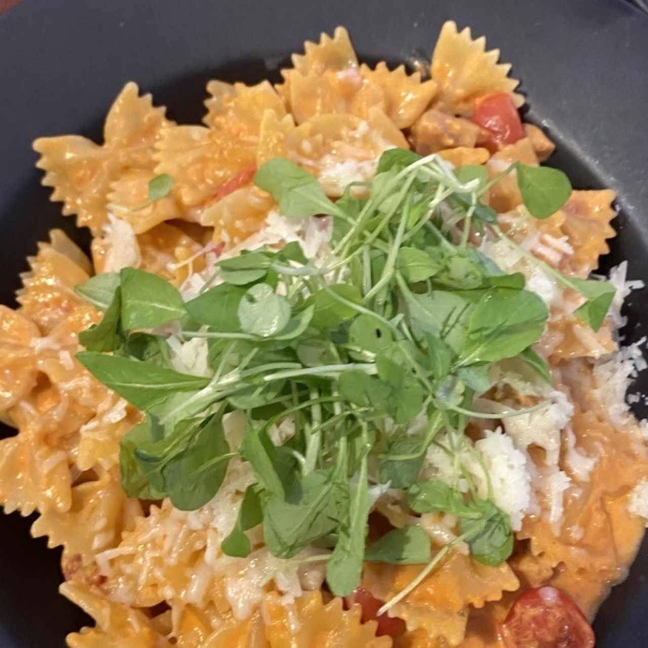 Pastas - Katané