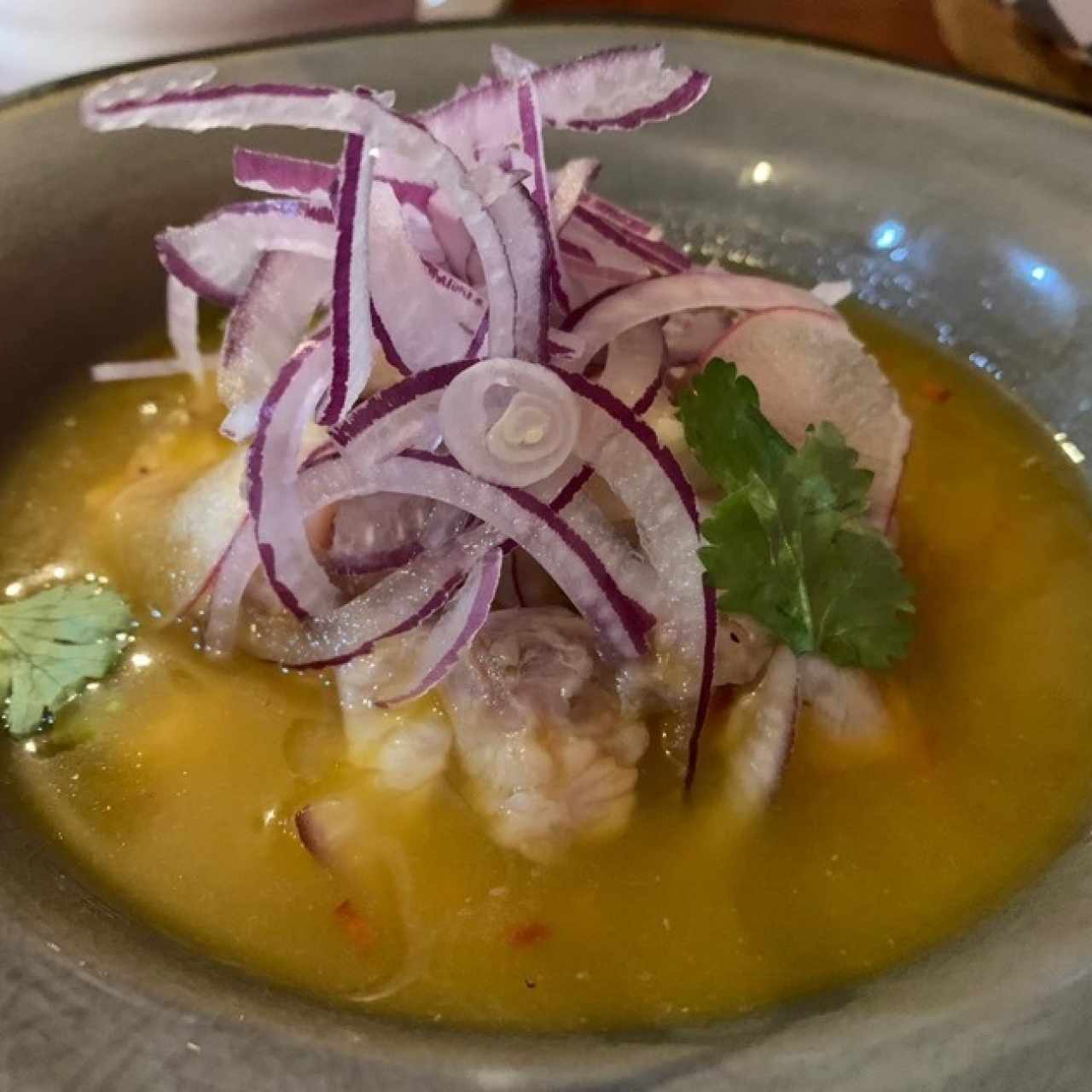 Ceviche Choque y Fuga