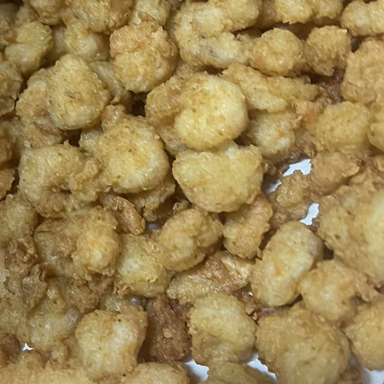 Camarones Apanados