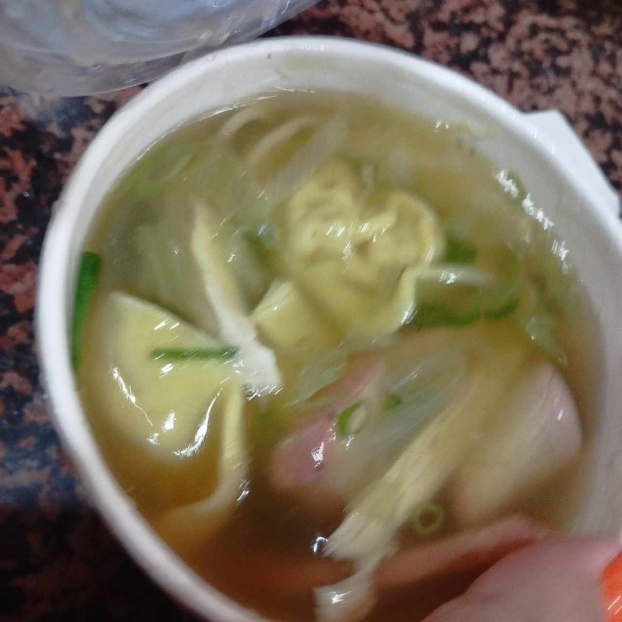 Sopa de Wantón