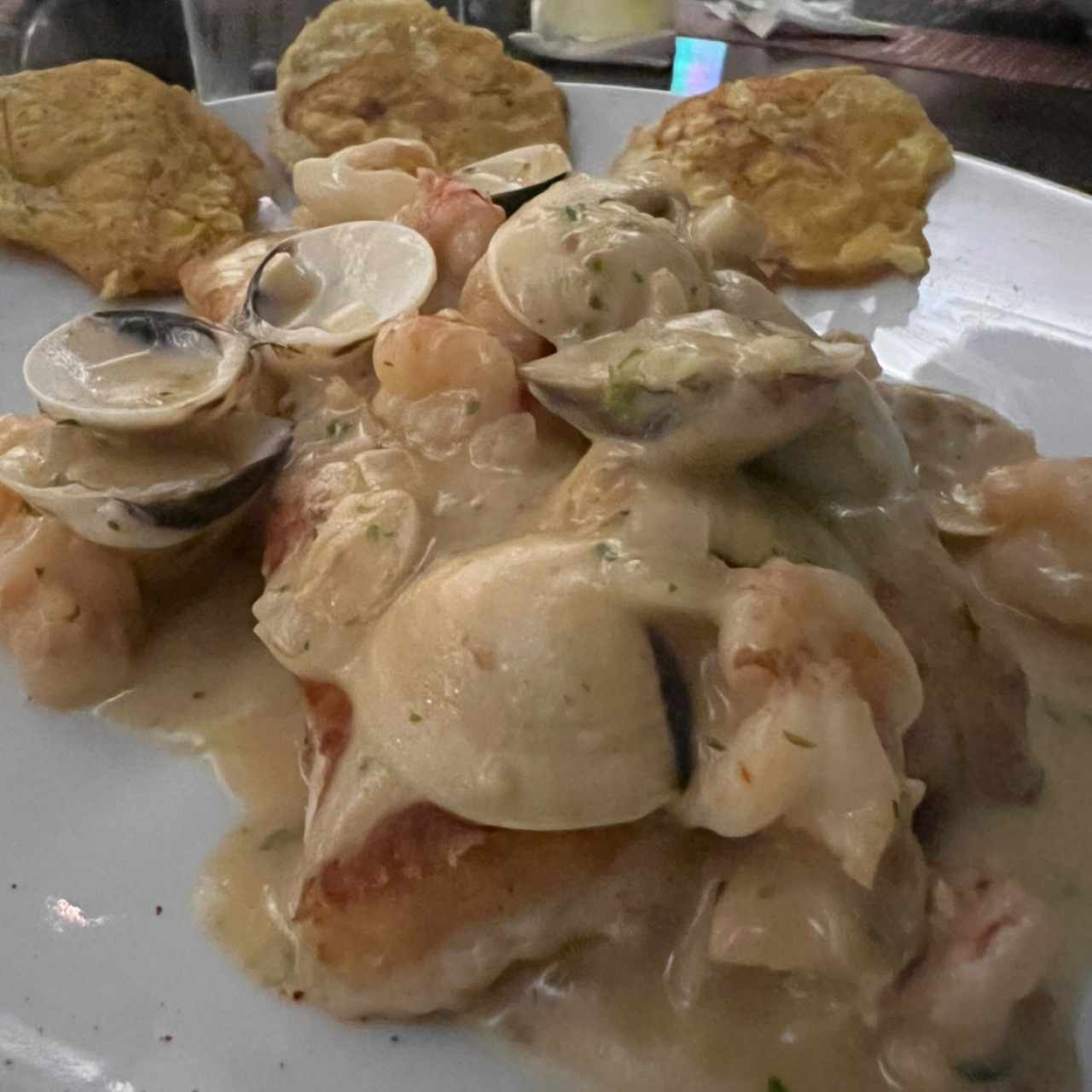 Corvina a la vasca