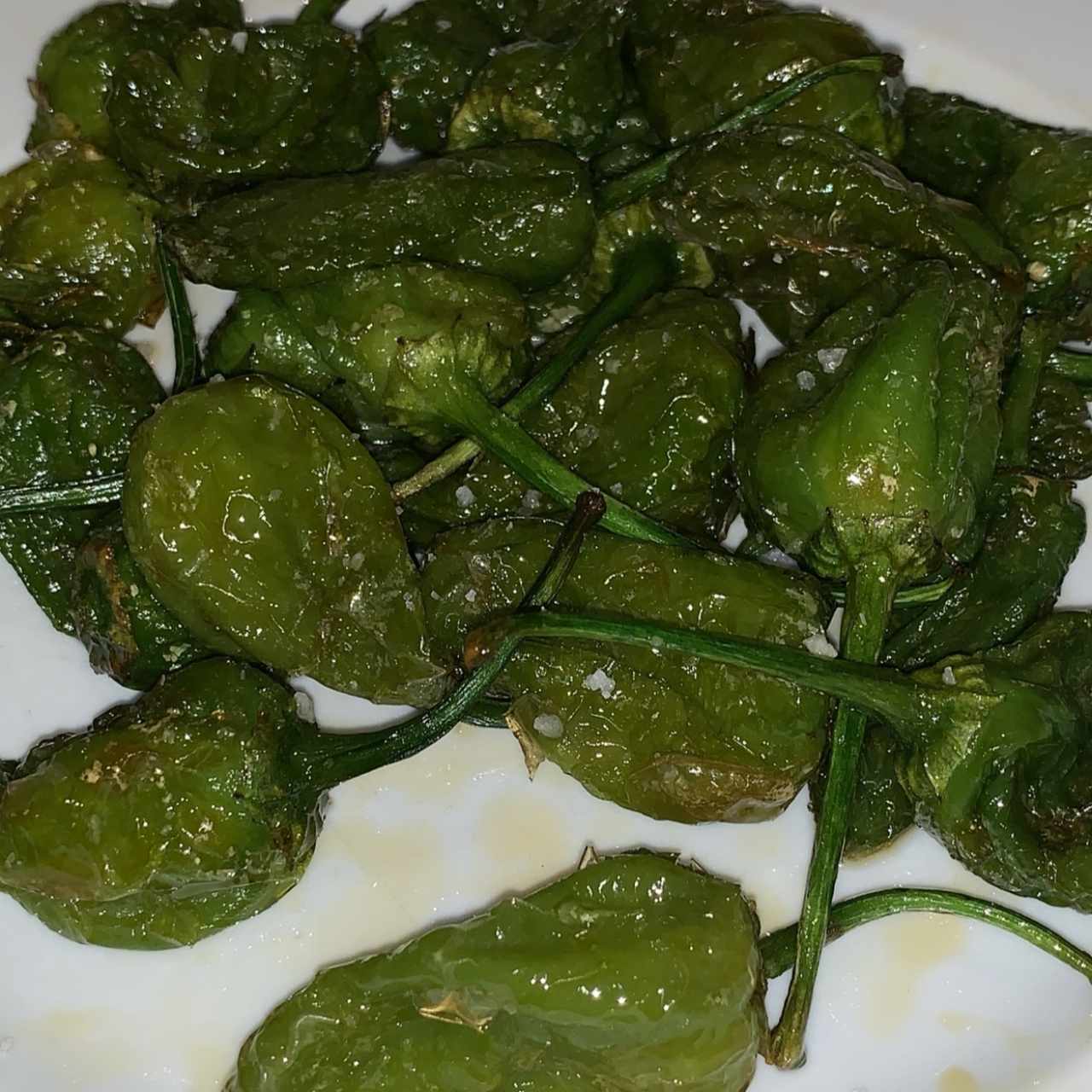 Pimientos del Padron