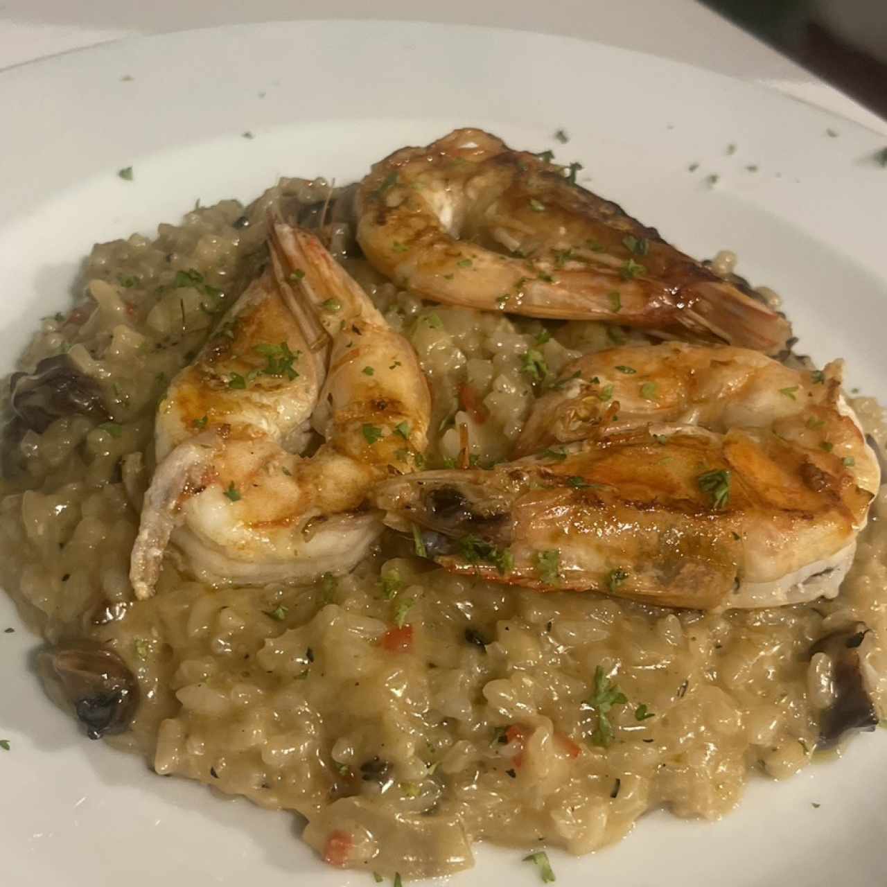Melosa de langostino