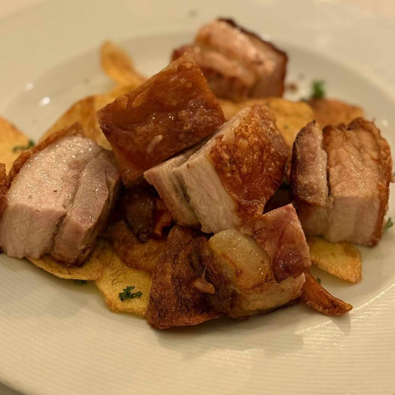 Cochinillo Asado de Nuestra Corte y Hornada