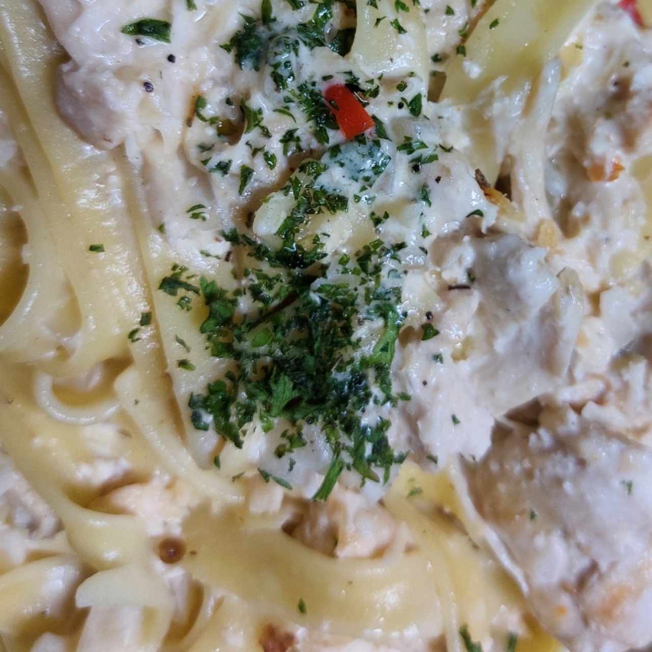 fetuccini Alfredo salsa blanca