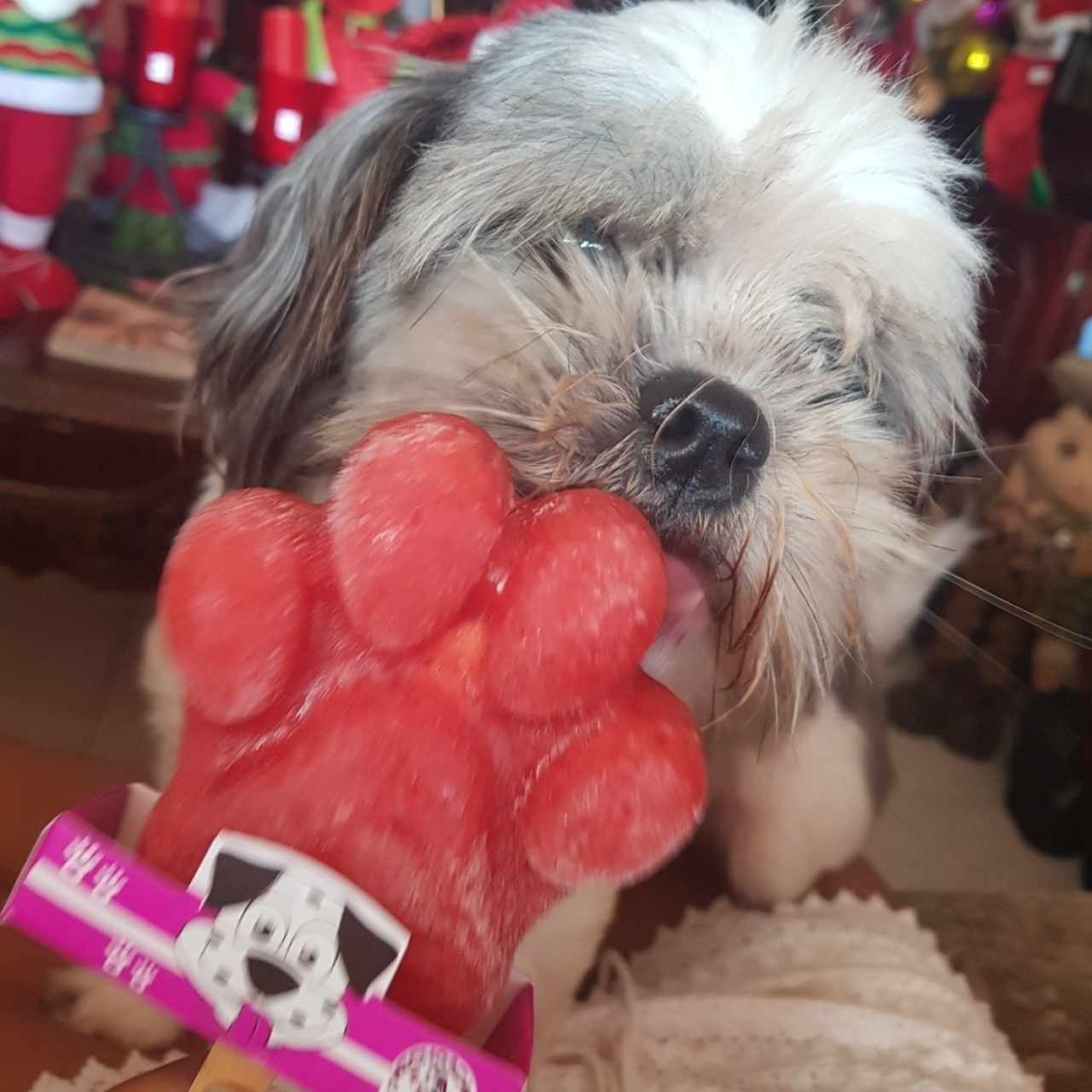 Paleta para perritos Fresa