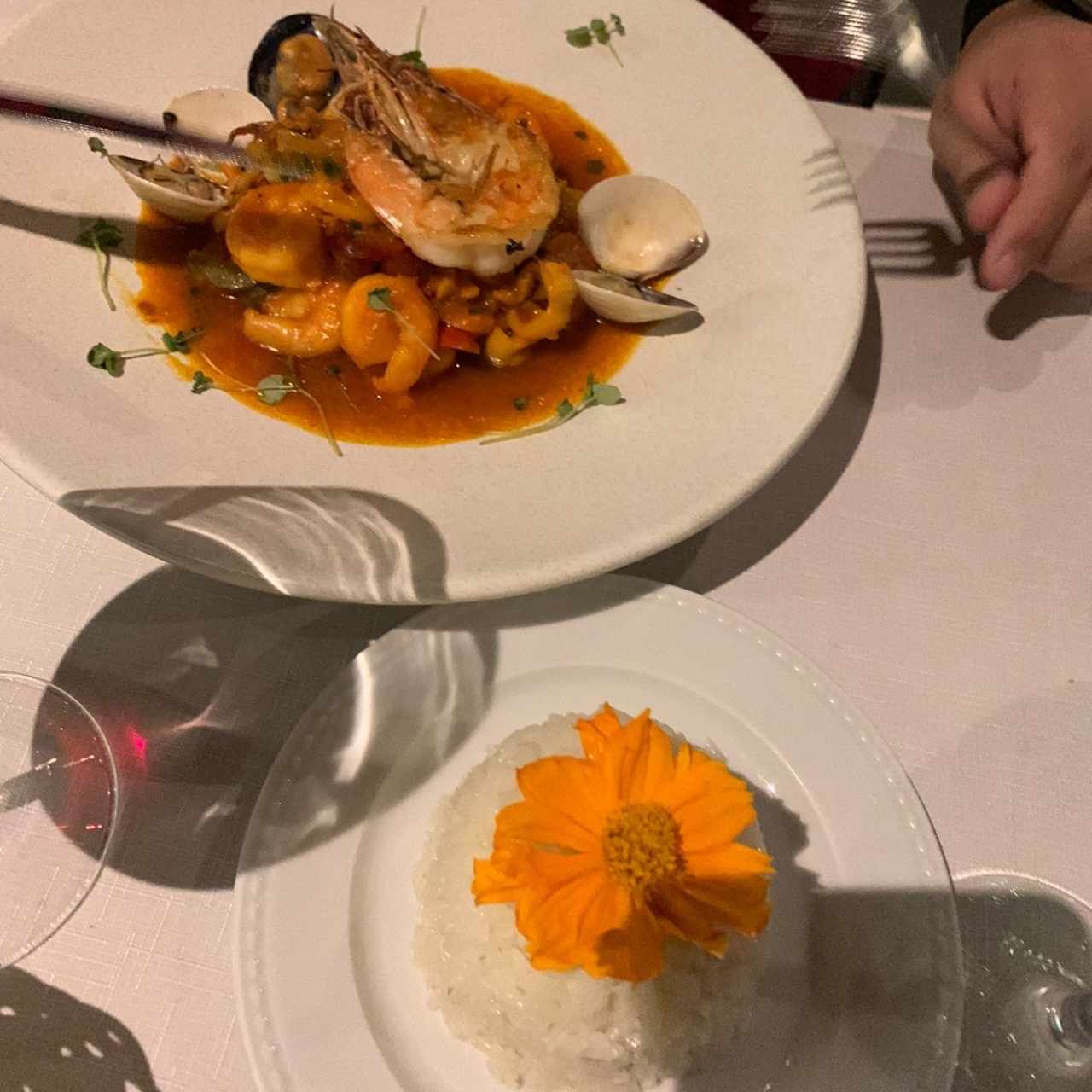 Pescado - Zarzuela de Mariscos