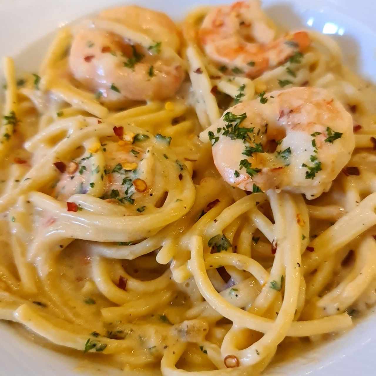 Pastas - Alfredo con Camarones