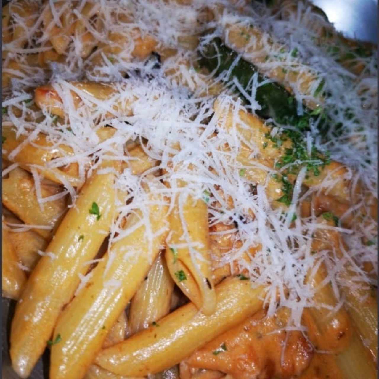 Penne con Salmon en suave crema