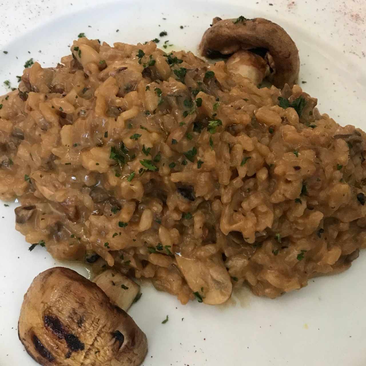 Risotto al Funghi Porccini