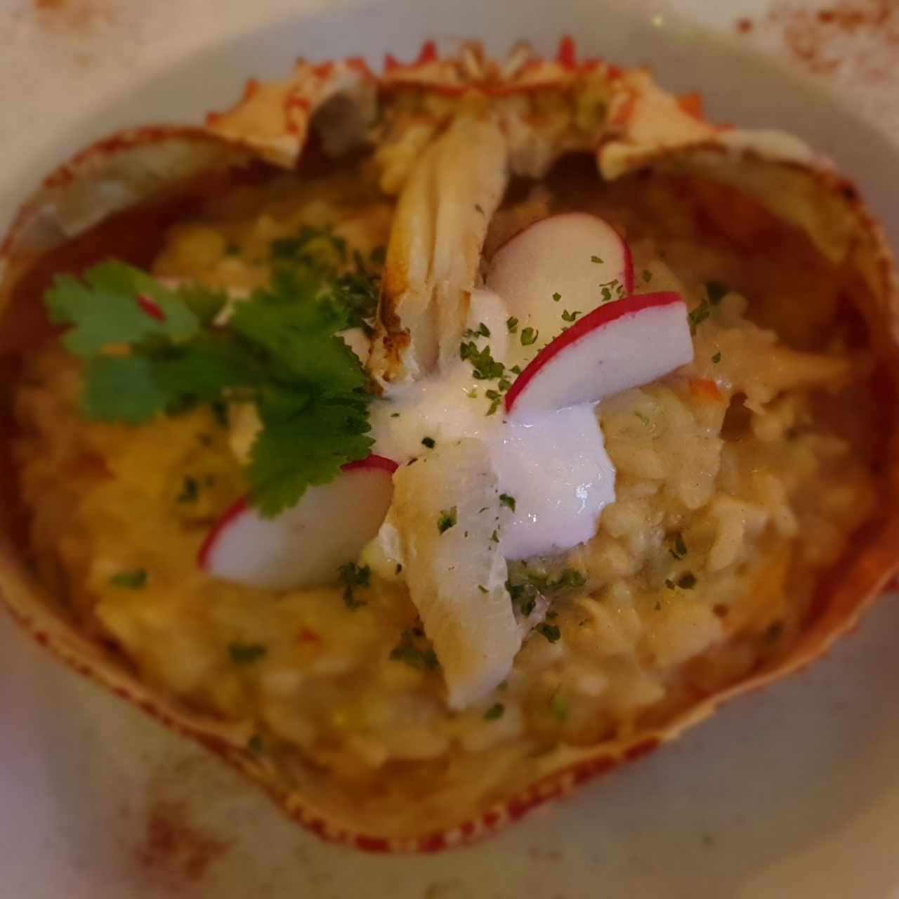 risotto de centollo