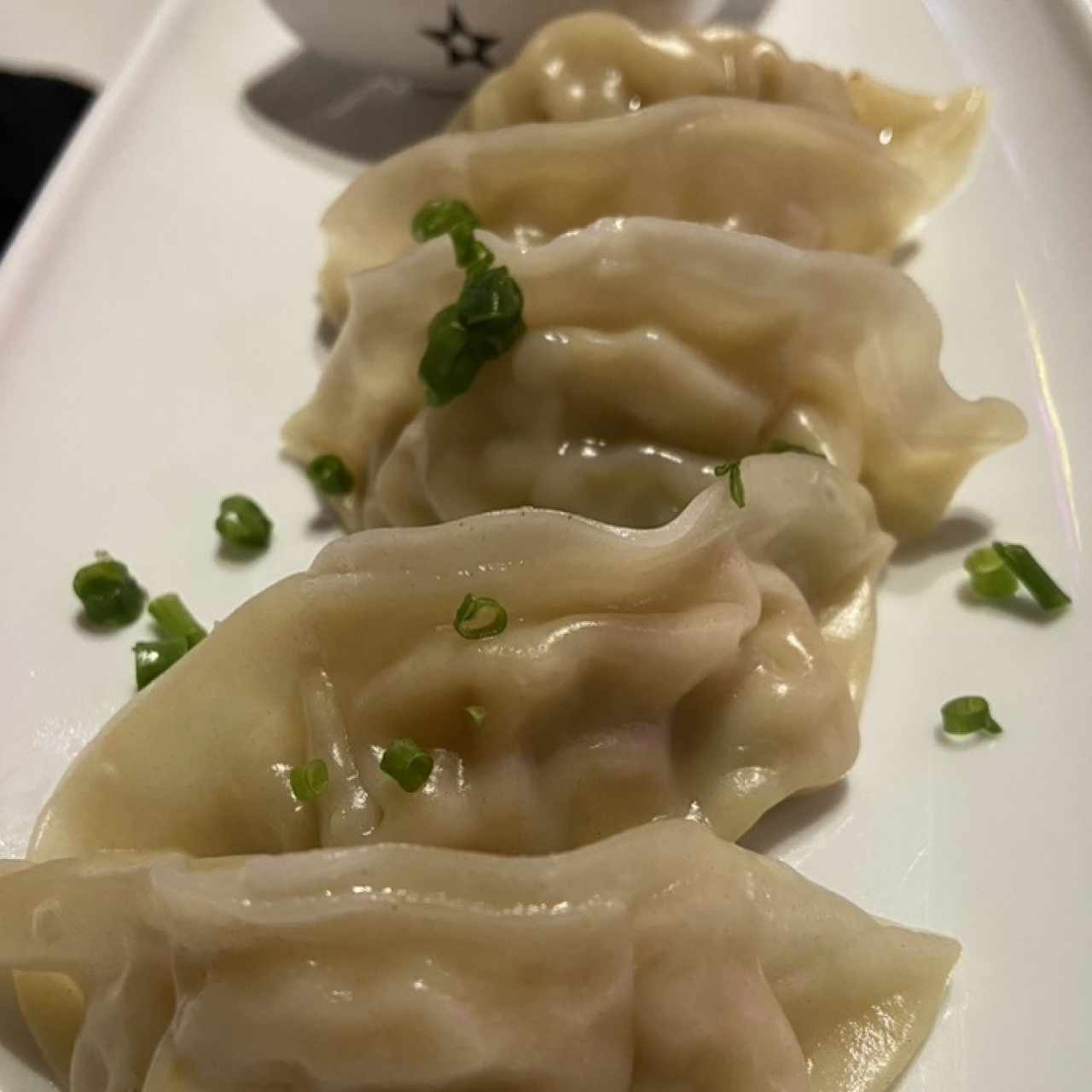 Tentadoras Entradas - Gyozas de Cerdo