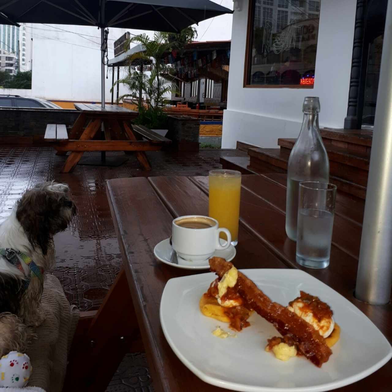 Huevos Rosalinda, Cafe negro y Jugo de Naranja Natural ahhhhh y Pet Friendly 