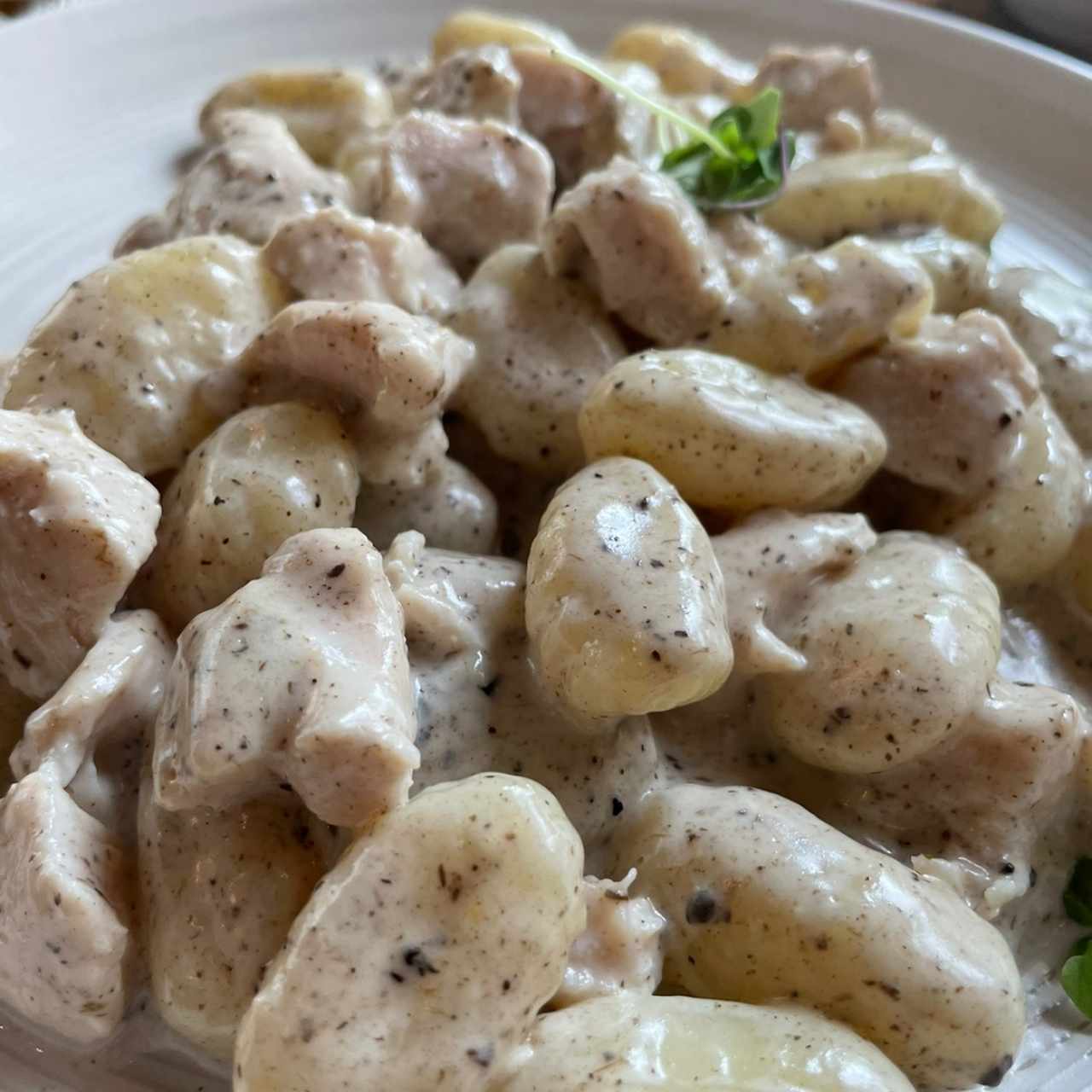 Pasta (Gnocchi) tartufo