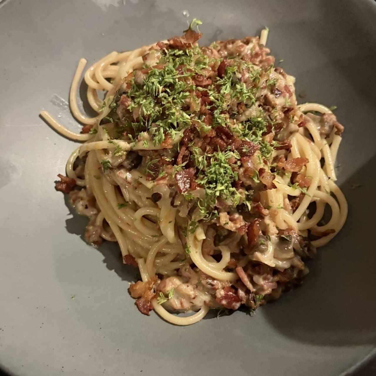 Pastas - Rigatoni all¨amatriciana