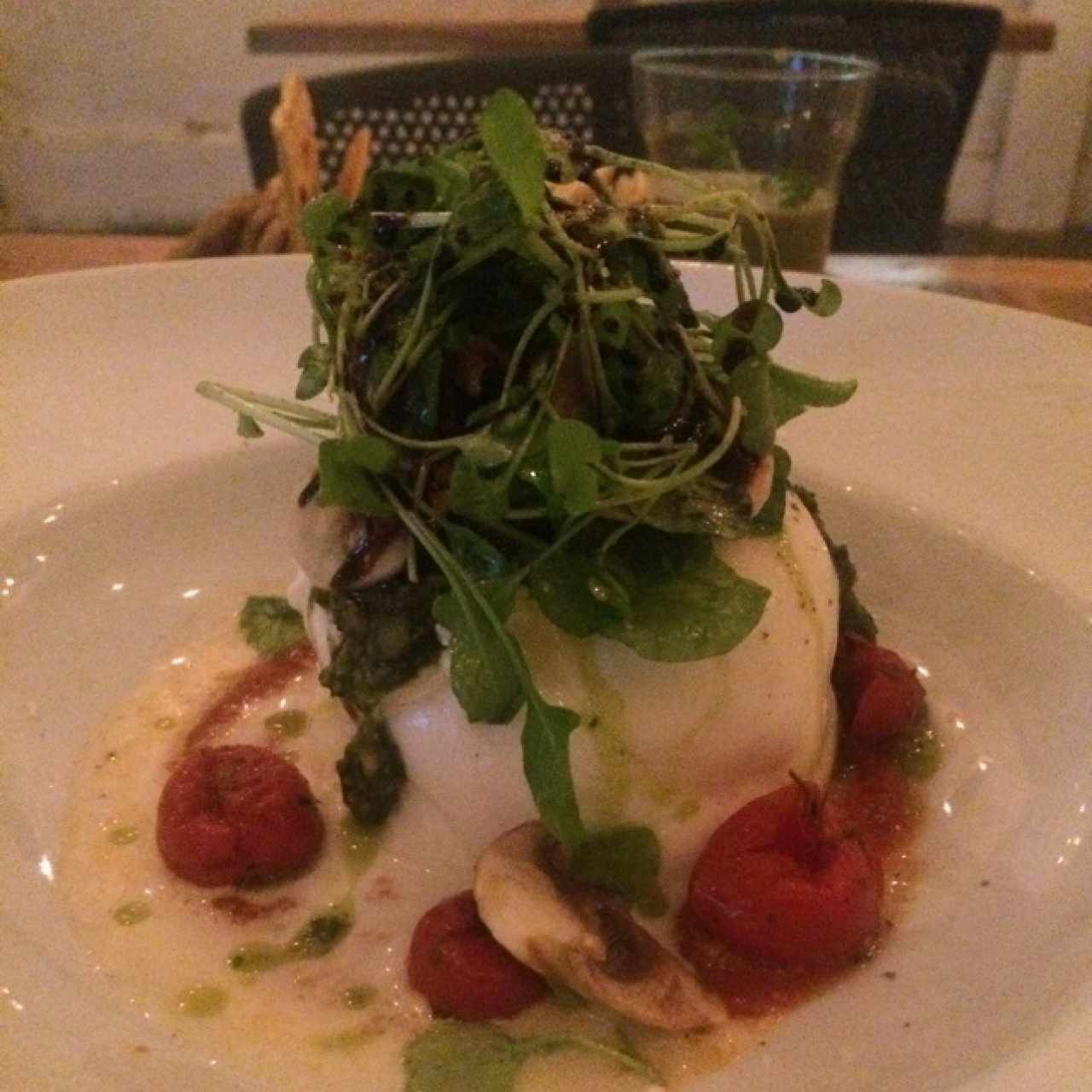 burrata