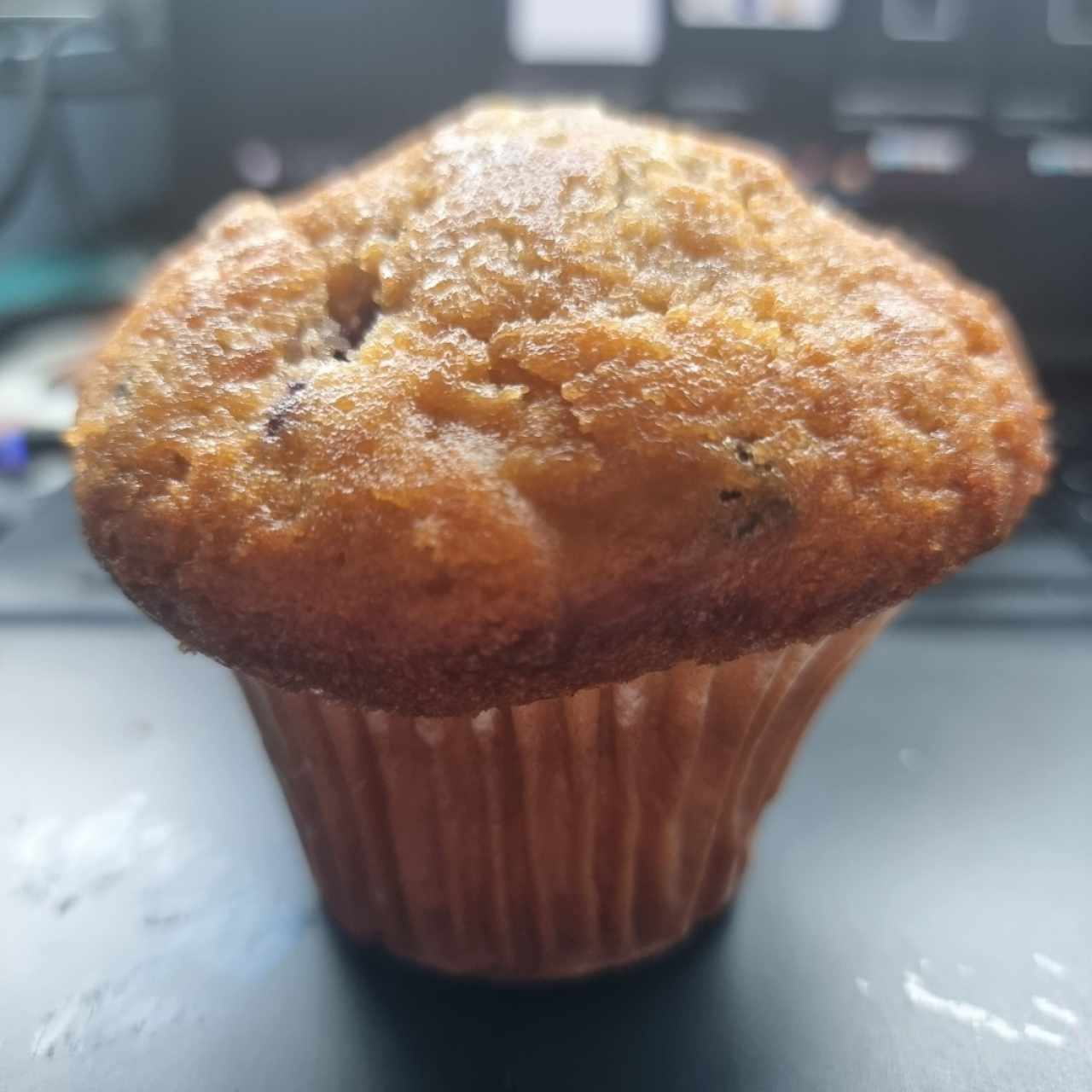 Pastry - Blueberry Muffin