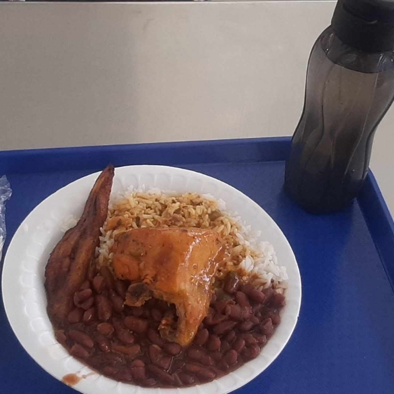 comida con pollo guisado 