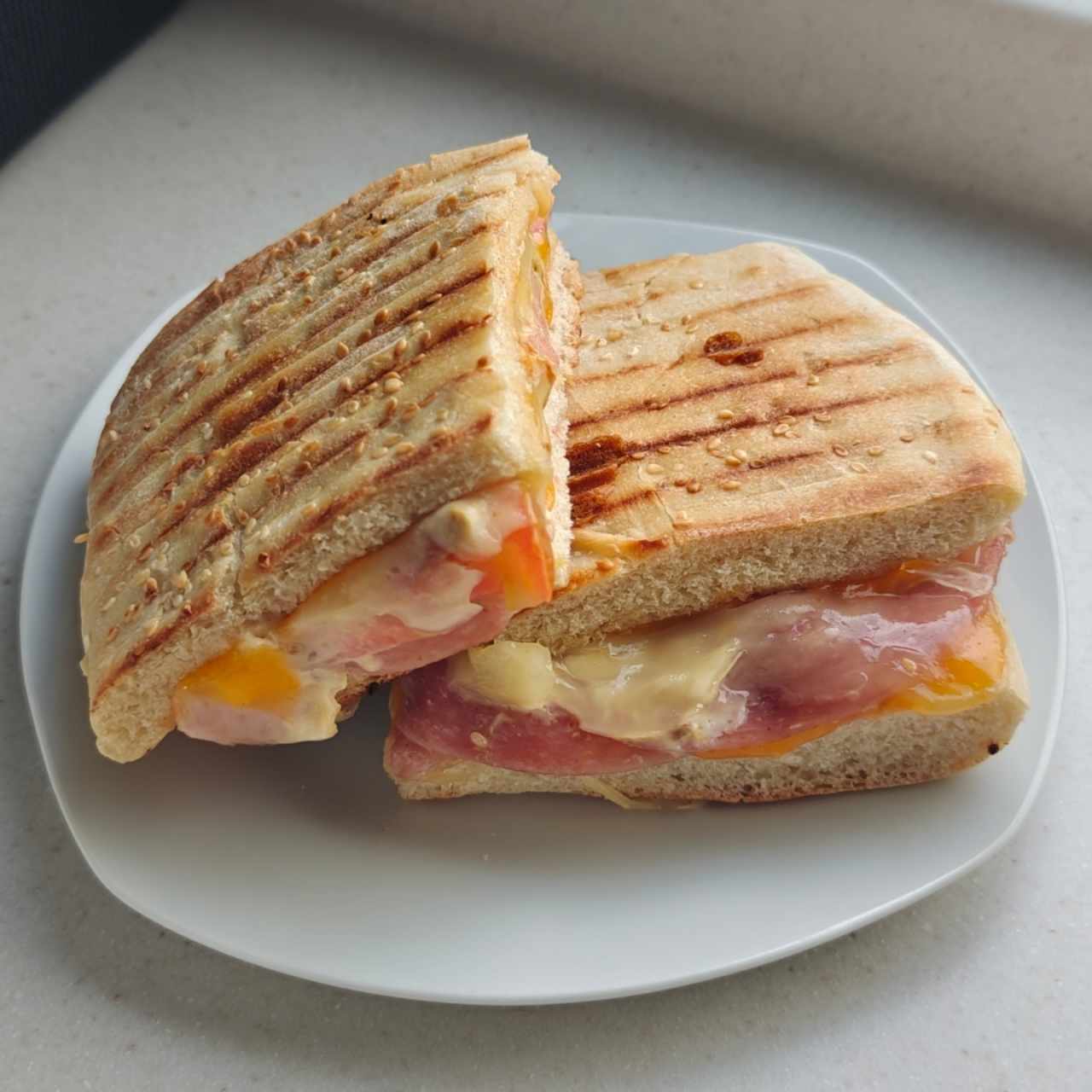 Paninis - Panini Genoa