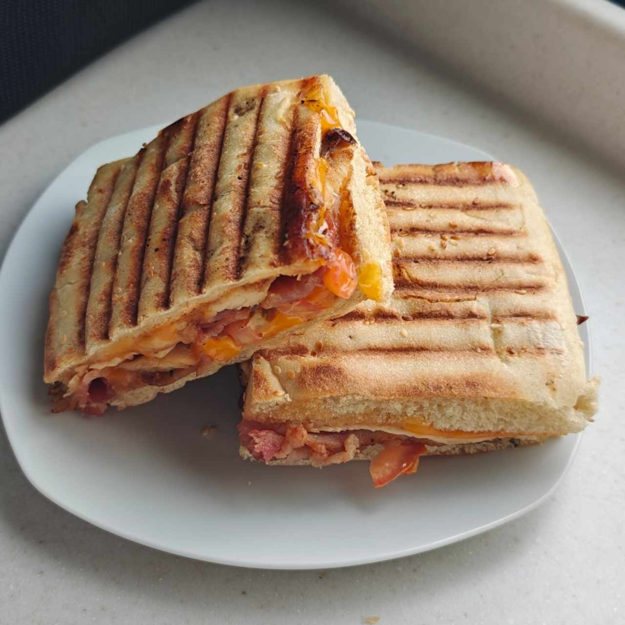 Paninis - Panini Pollo