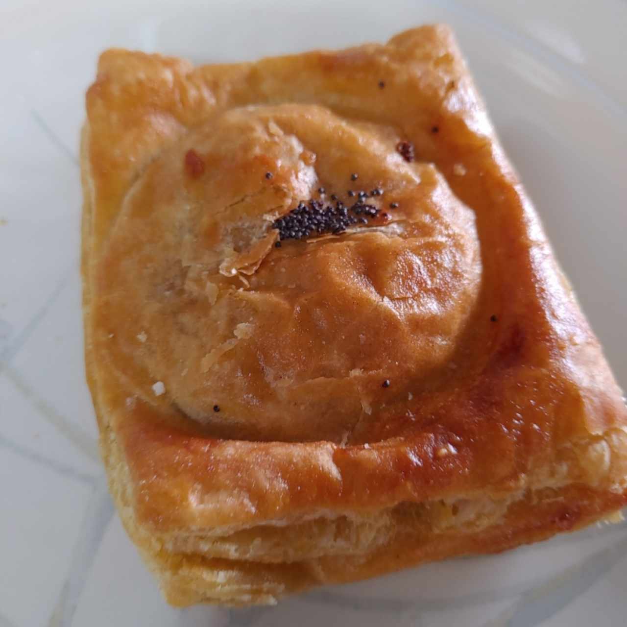 pastelito carne