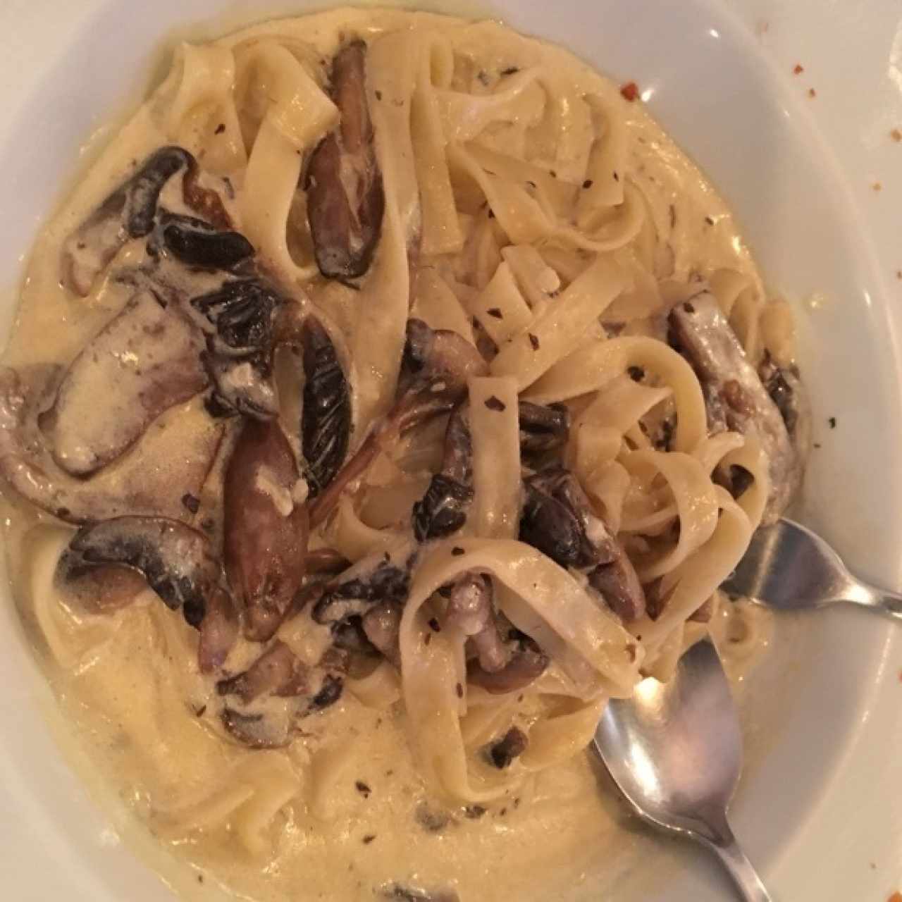 fetuccini grana padano WOW!!!