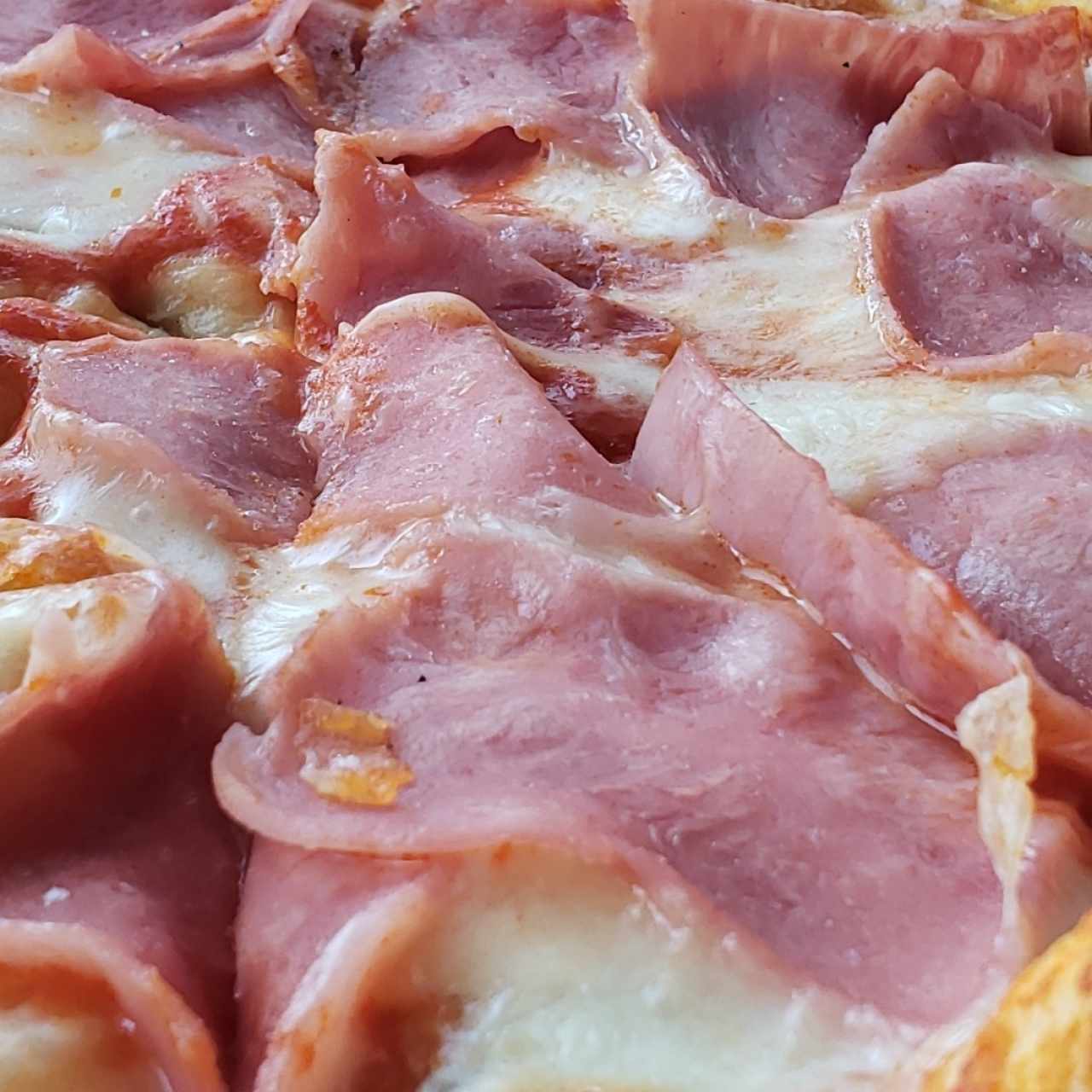 Pizza de Jamón 