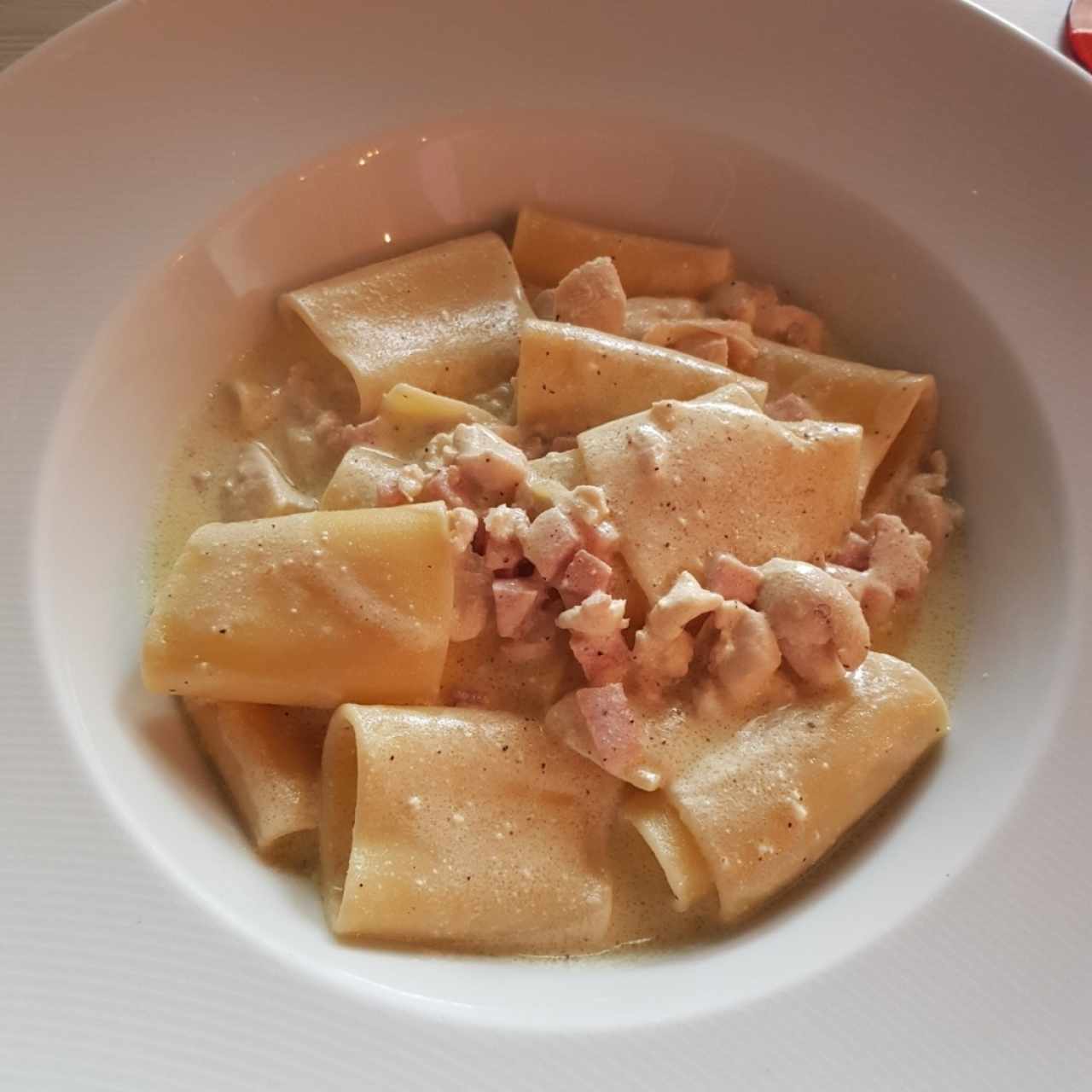 Paccheri Alfredo con Pollo