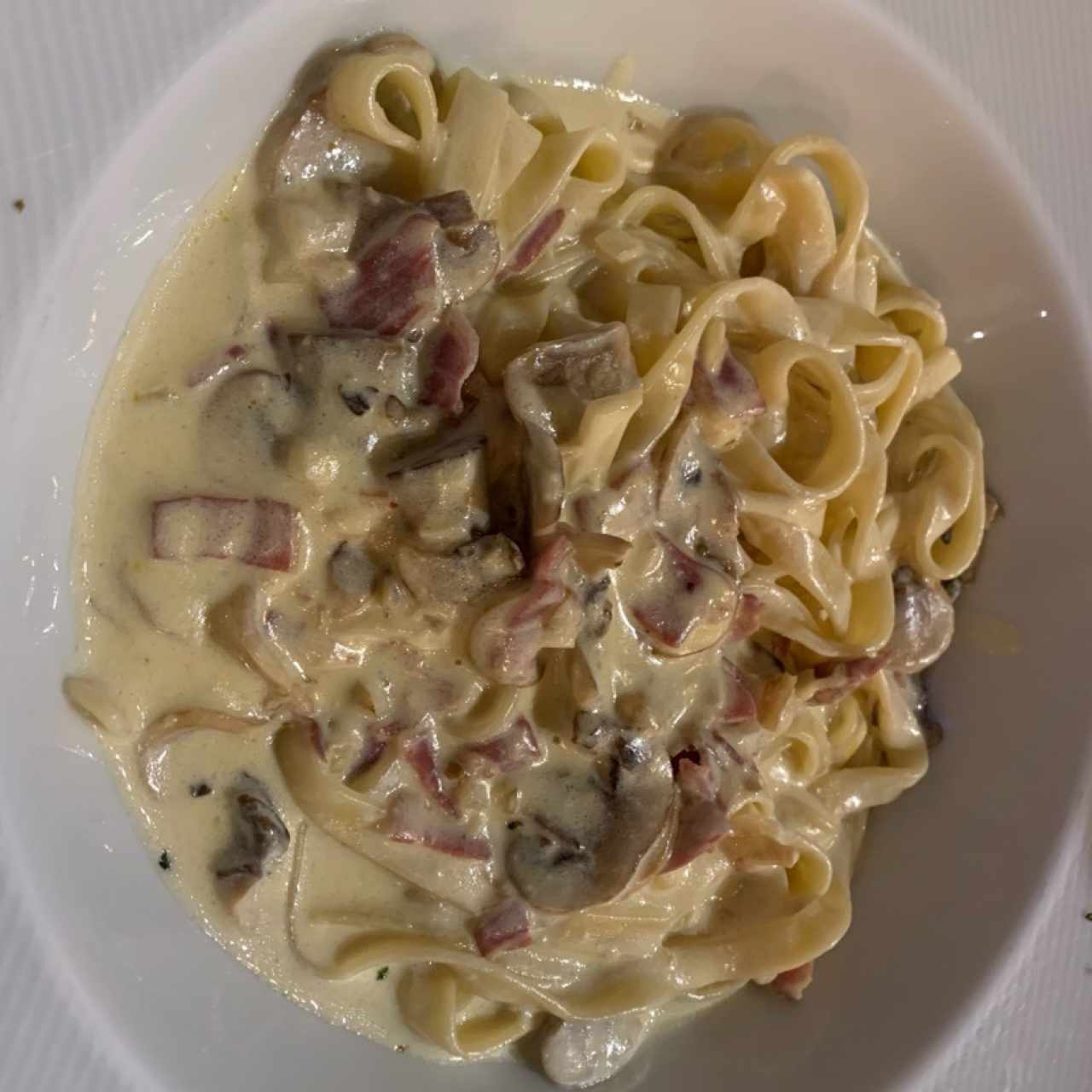 Fetuccini Grana Padano con hongos y tocino.