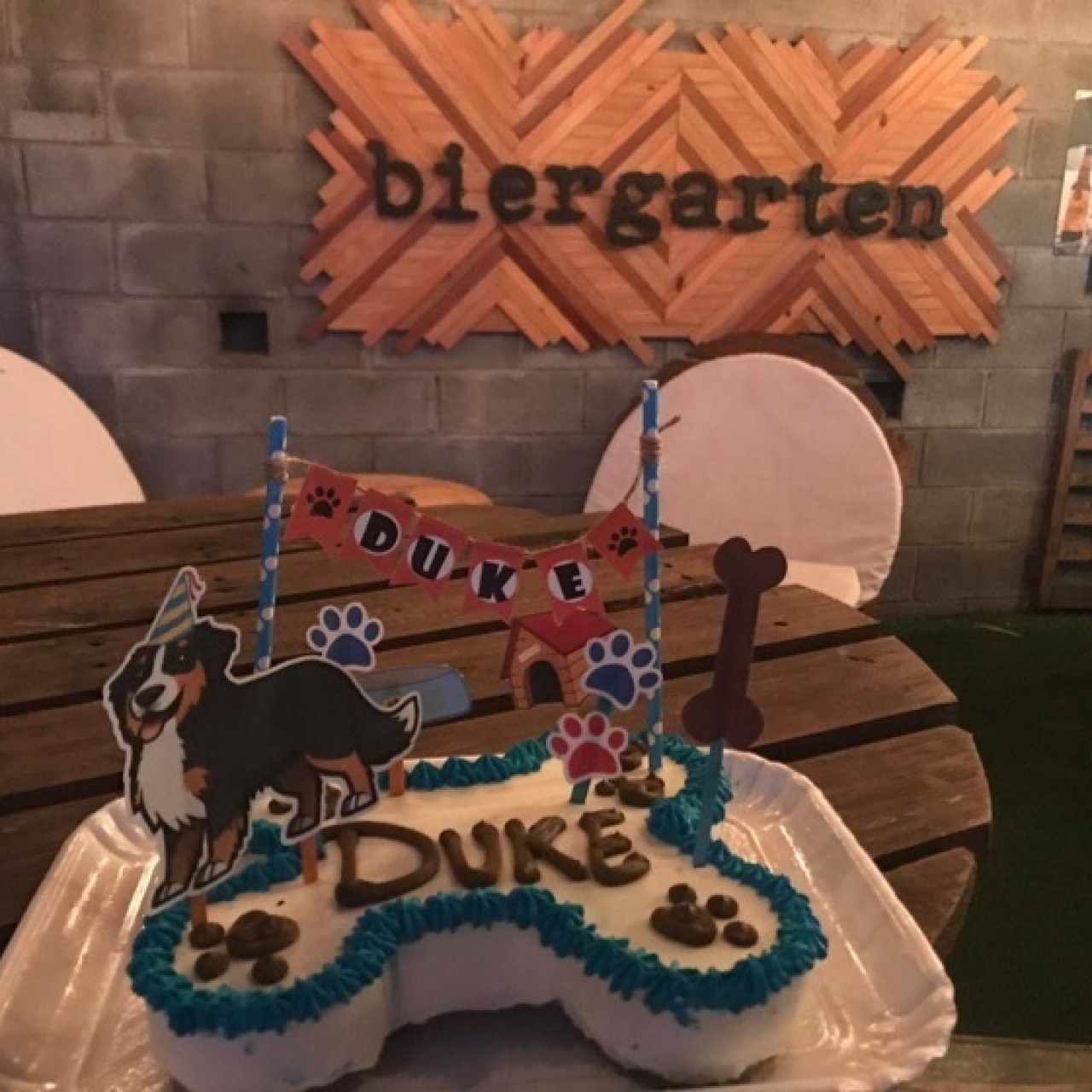 celebrando el cumpleaños de mi perro en biergarten!!