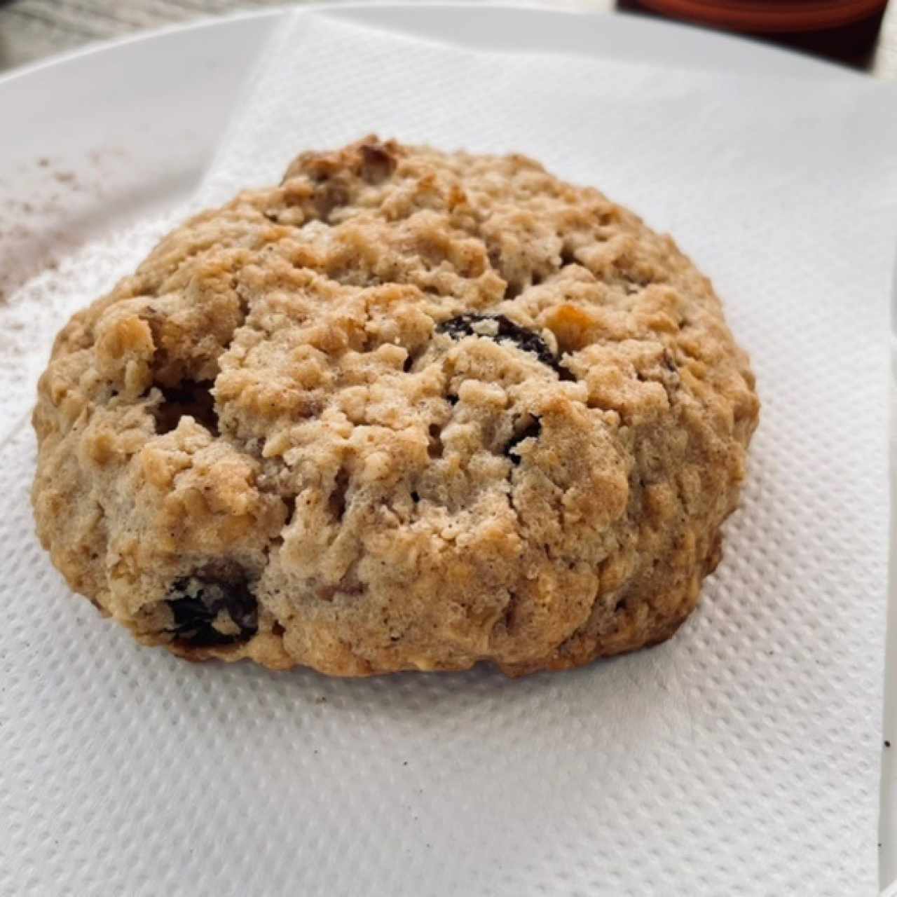 Galleta Avena y Pasitas