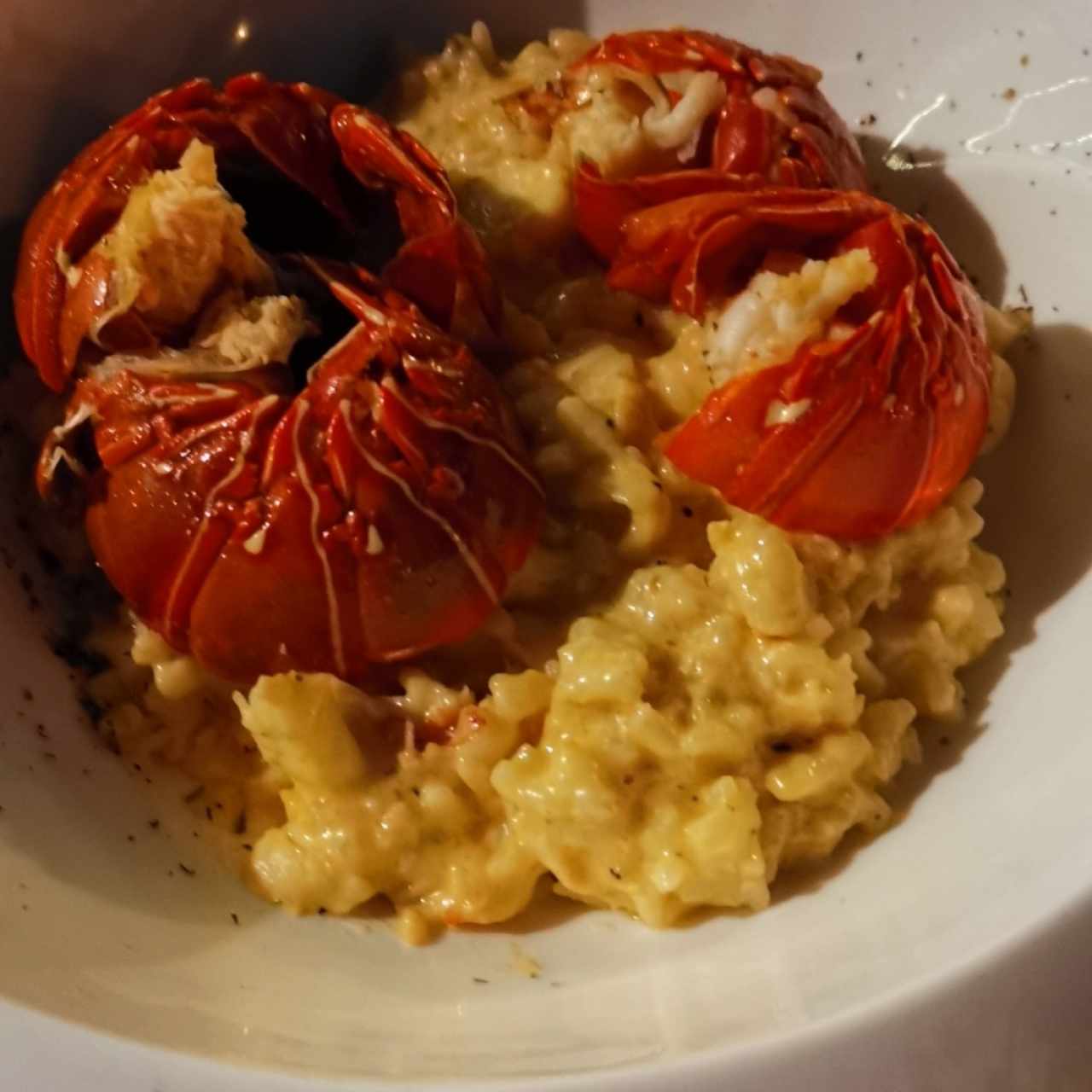 Risotto de langosta