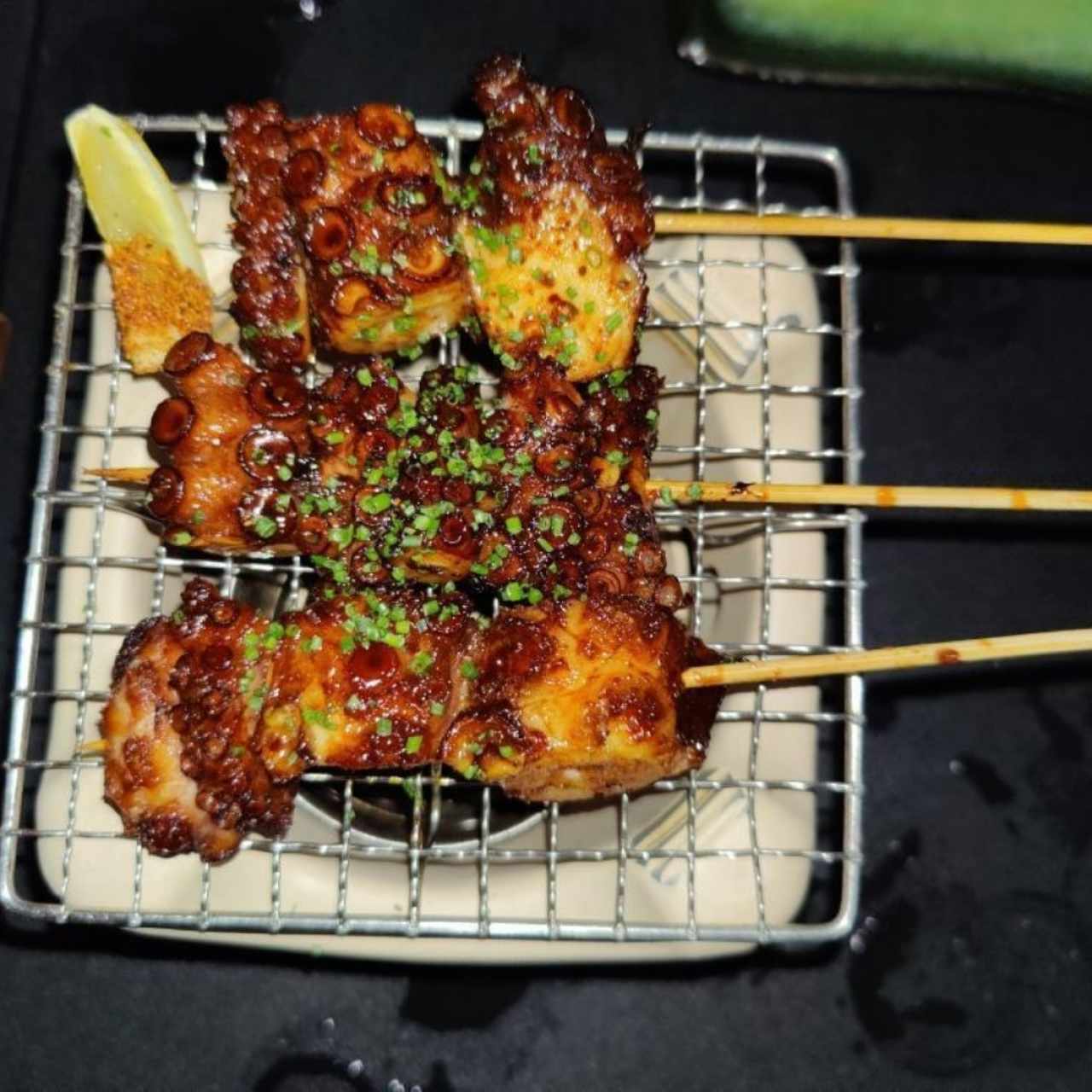 OCTOPUS ROBATA