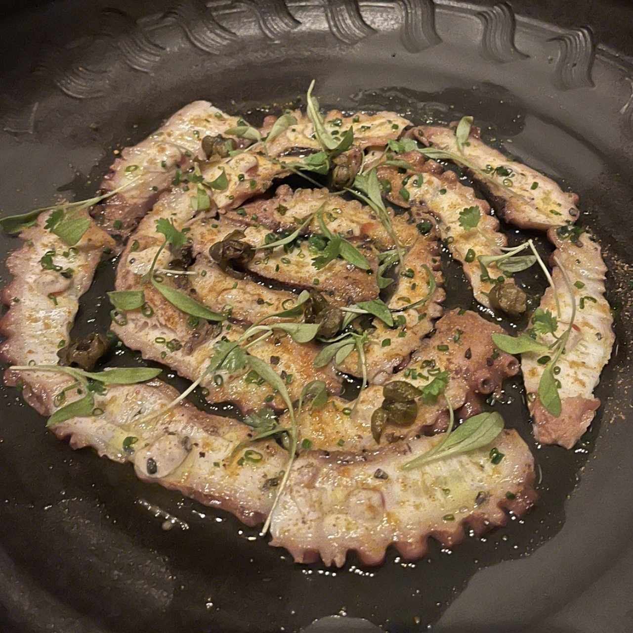 COLD - OCTOPUS NIDAKO