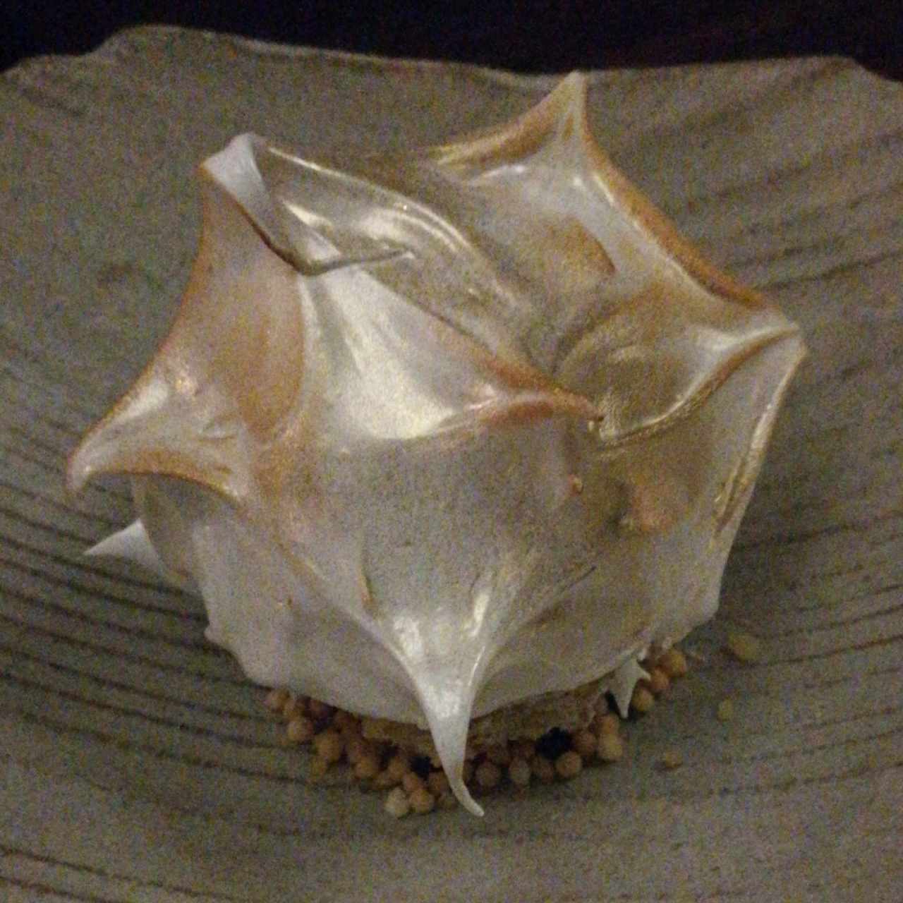 Baked Alaska