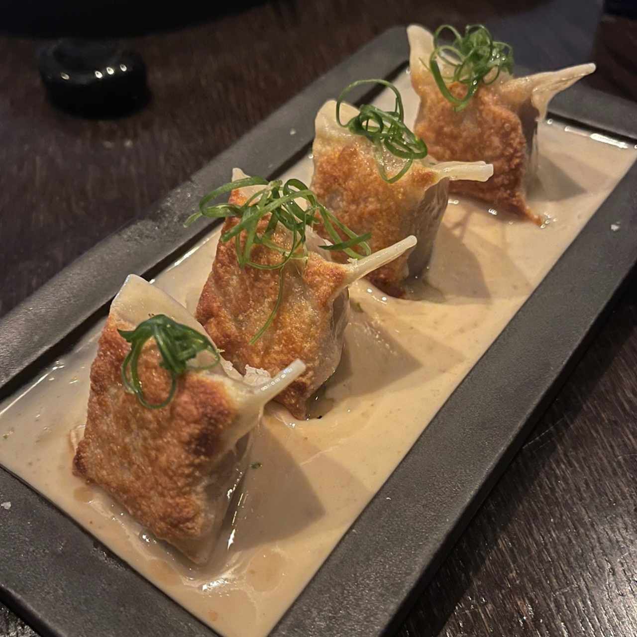 Hot - Crispy Chicken Dumpling