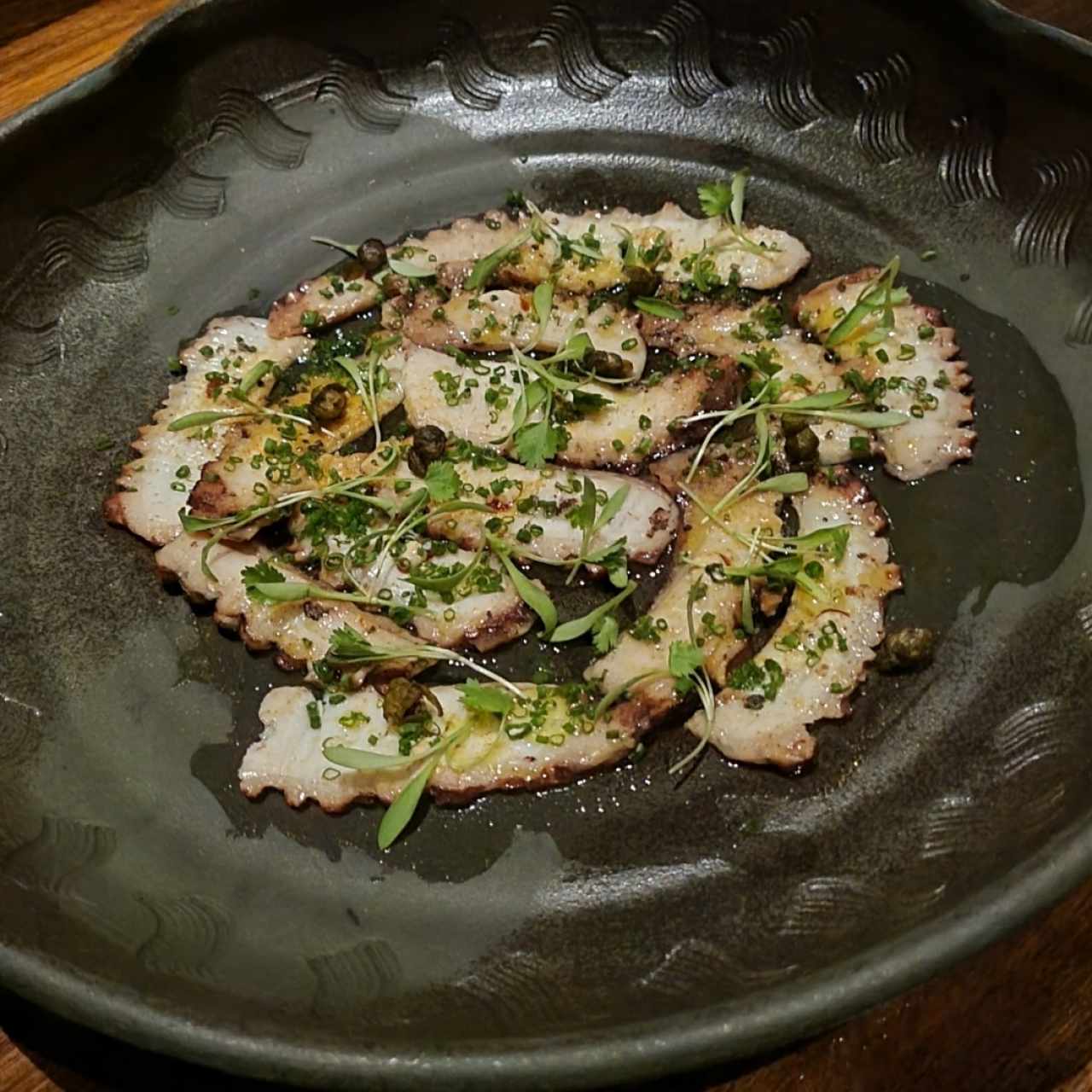 COLD - OCTOPUS NIDAKO