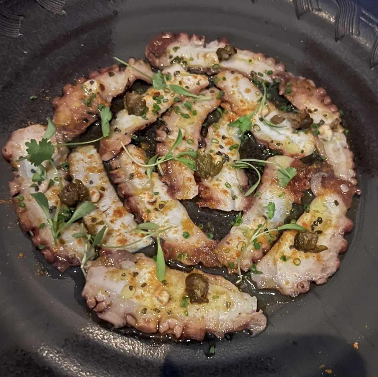 COLD - OCTOPUS NIDAKO