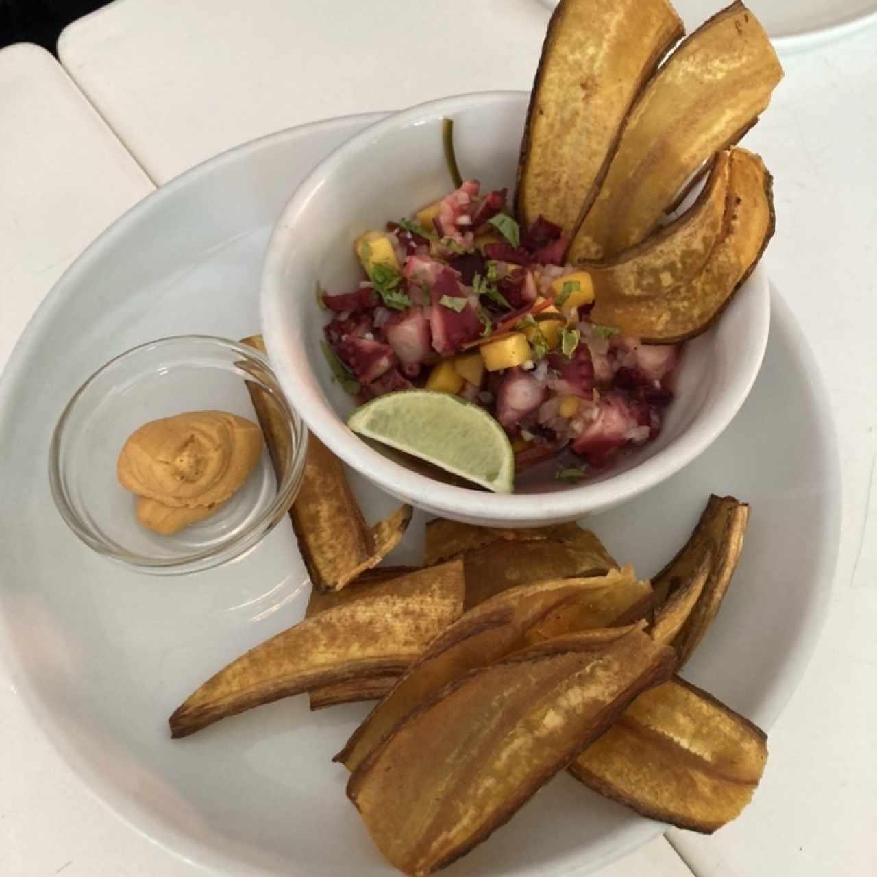 Ceviche de pulpo