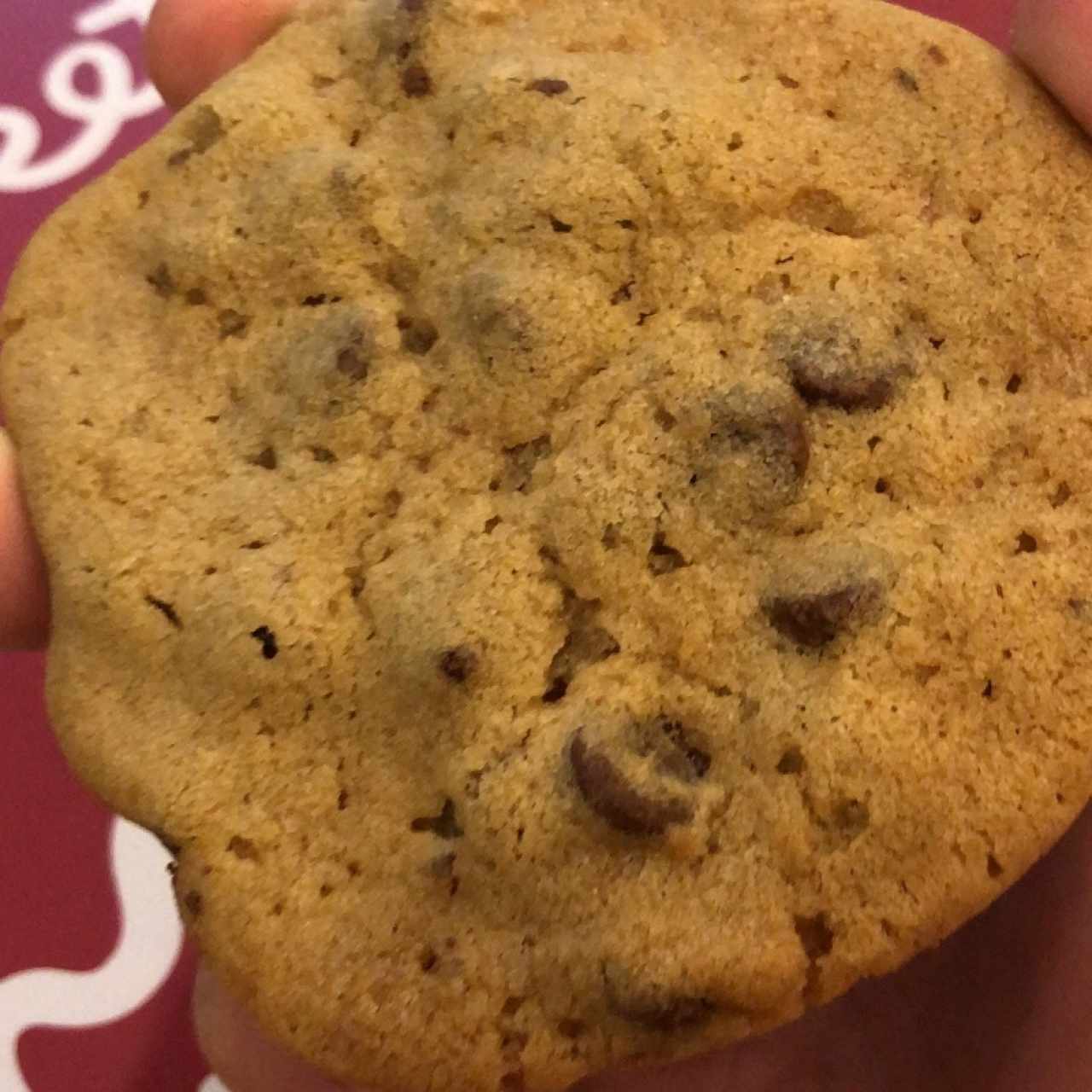 Chocolate Chip Cookie