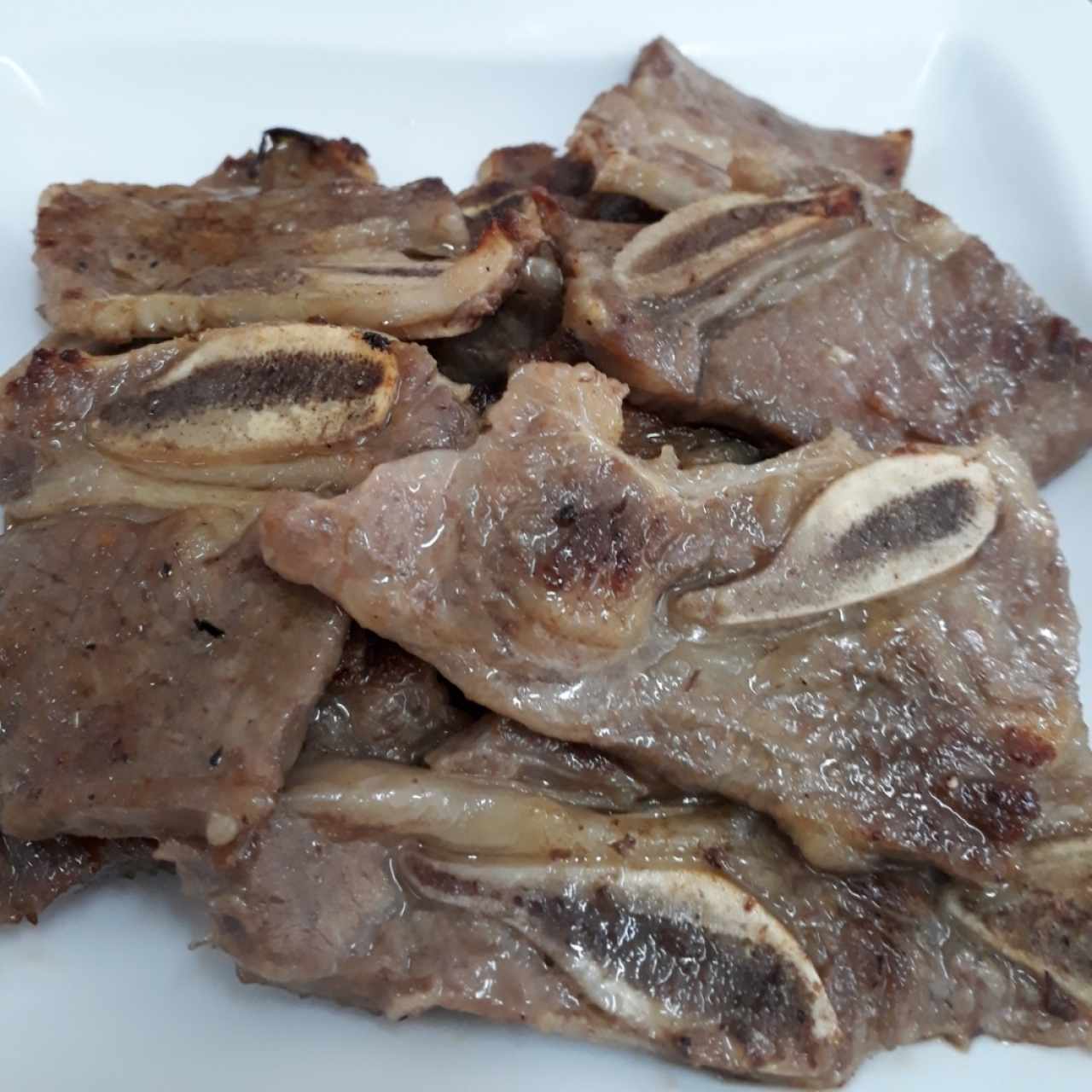 Galbi 