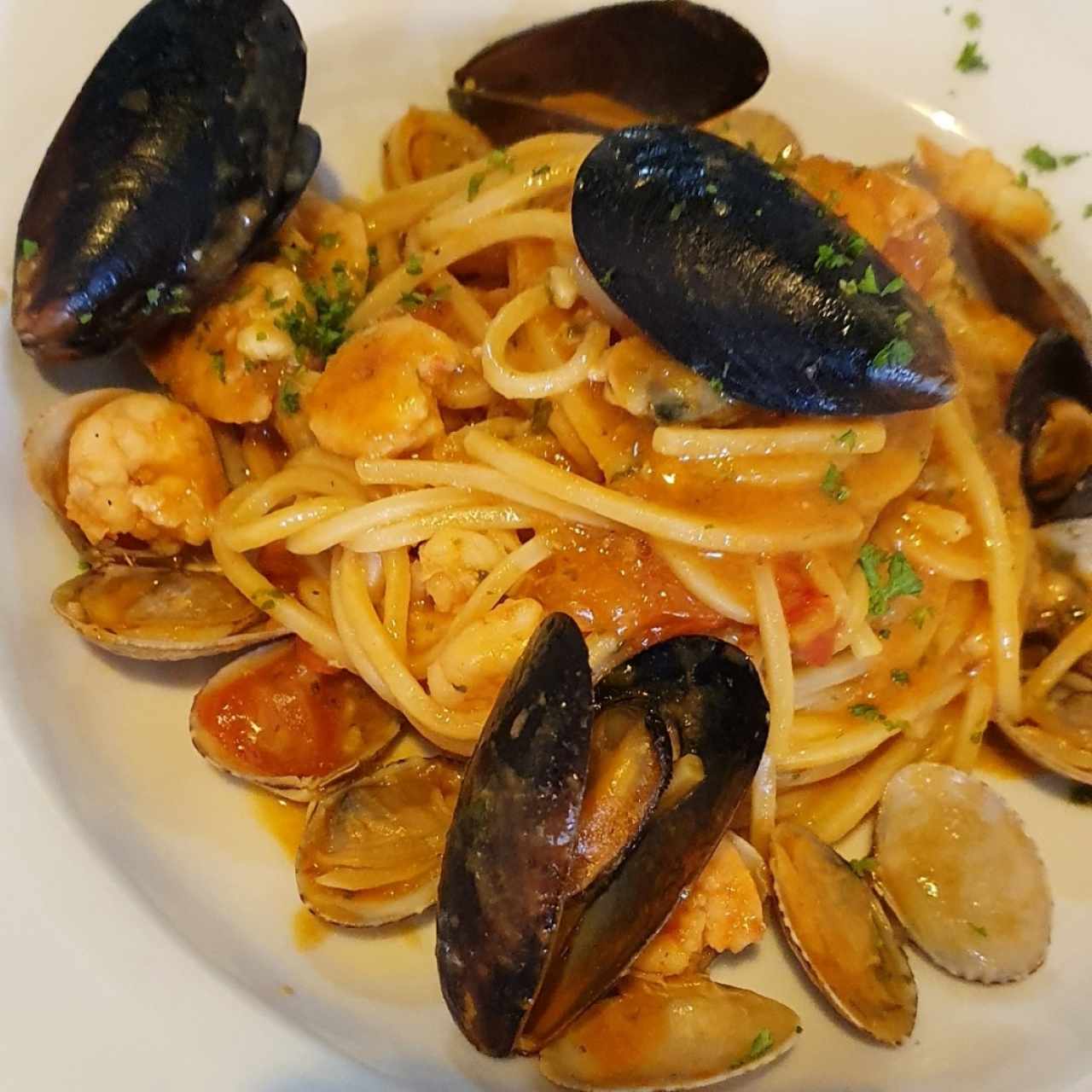 Pasta - Spaghettone Alla Pescatora