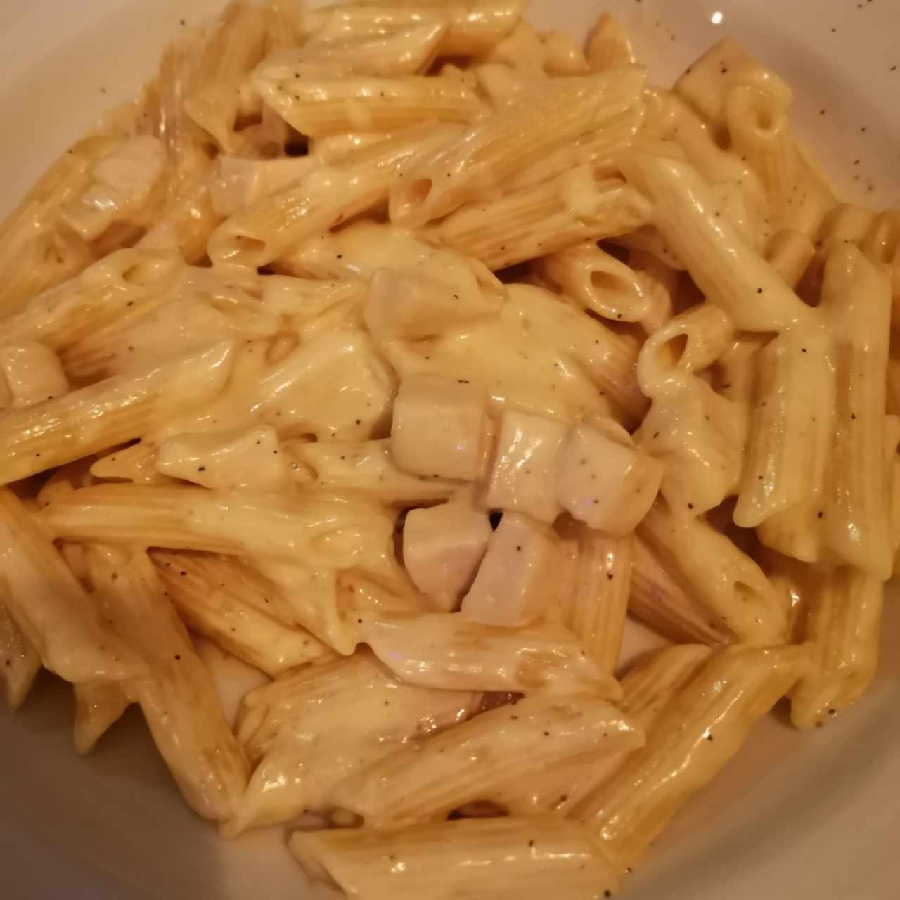 Pasta - Penne Alfredo con Pollo