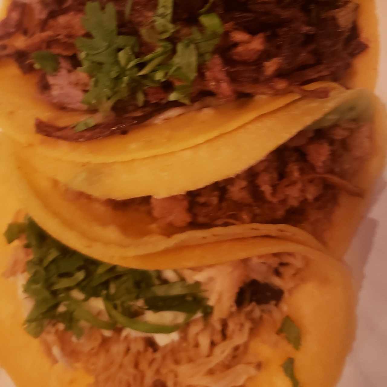 4 TACOS POR $10 - Cochinita Pibil