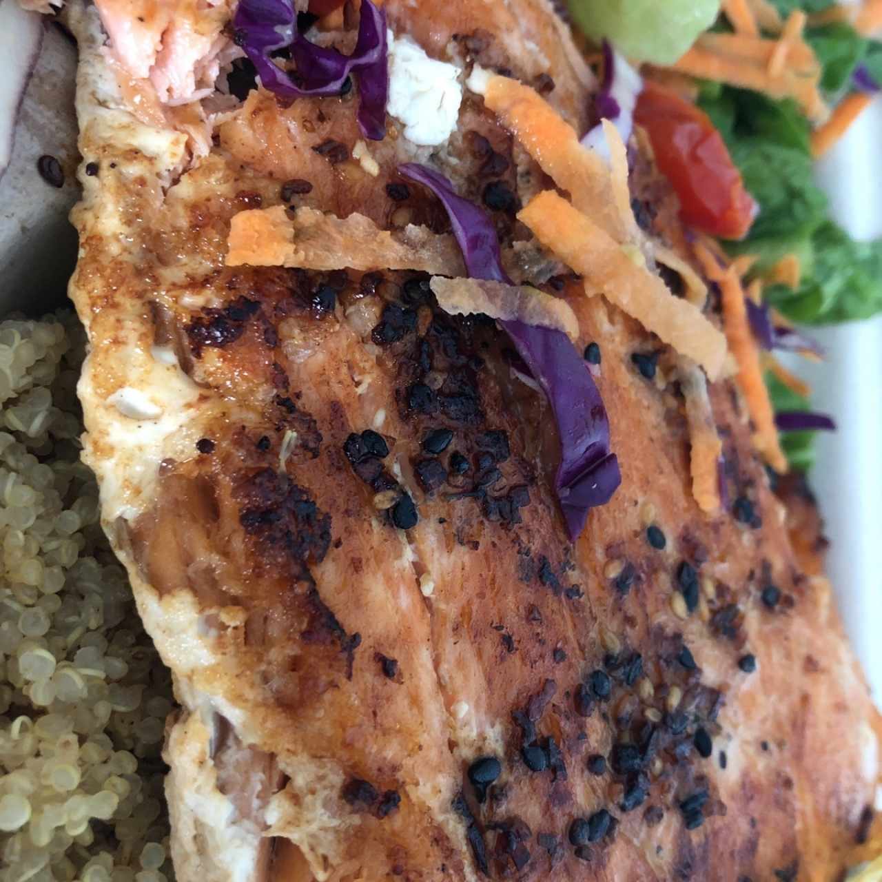 salmon